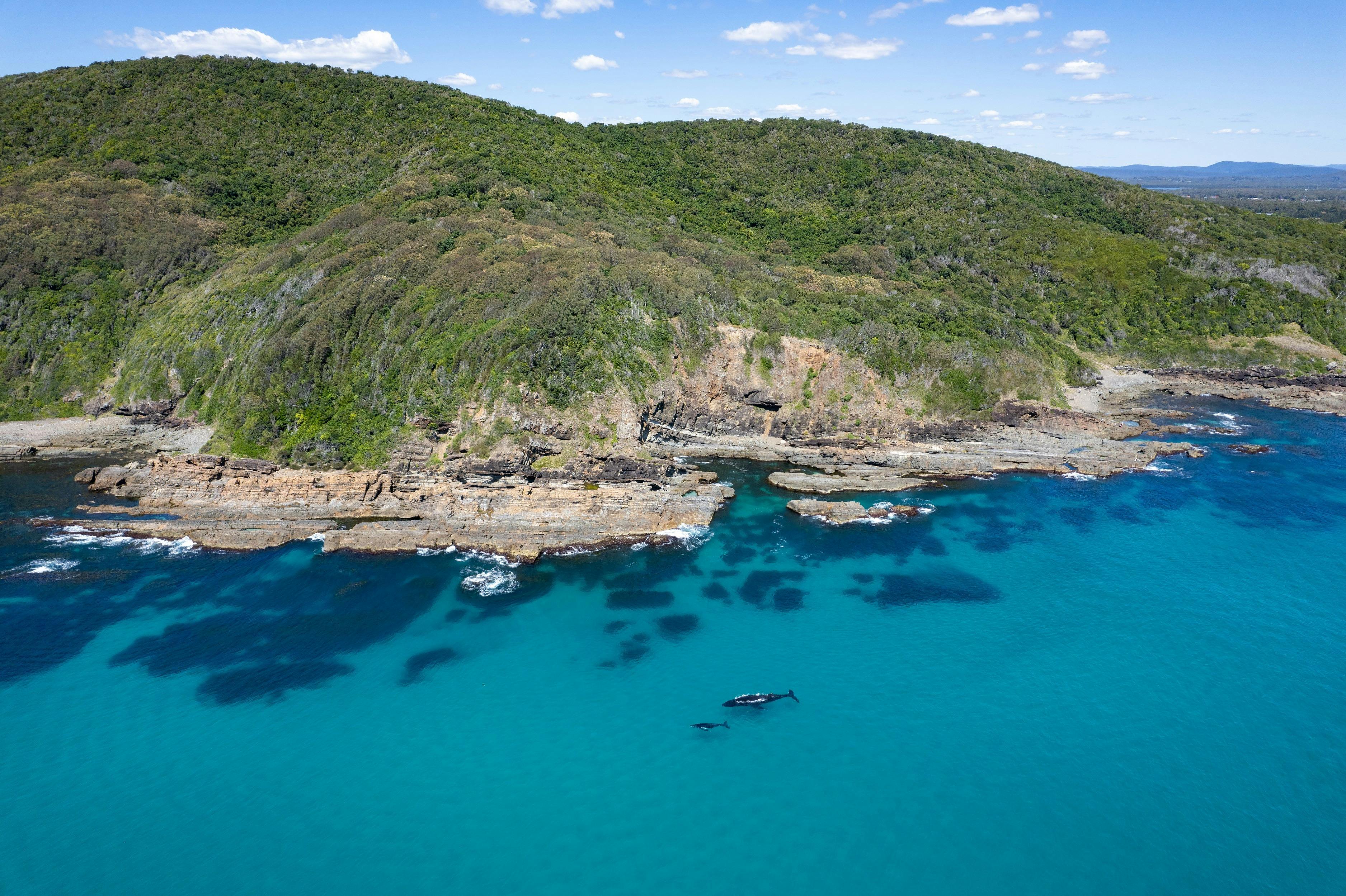 Burgess Beach Rockpool