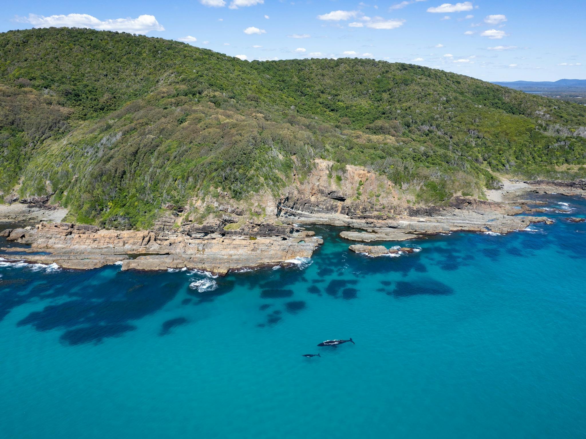 Burgess Beach Rockpool
