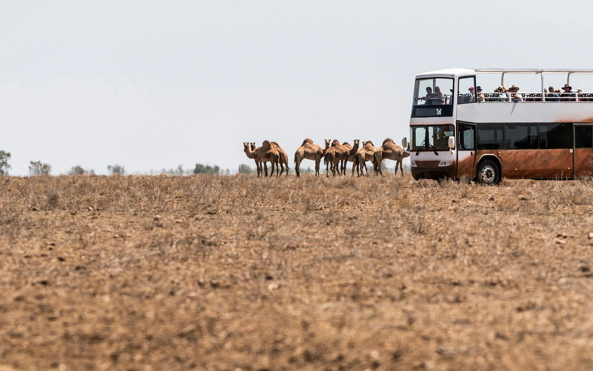 6-day Unleash Longreach Holiday