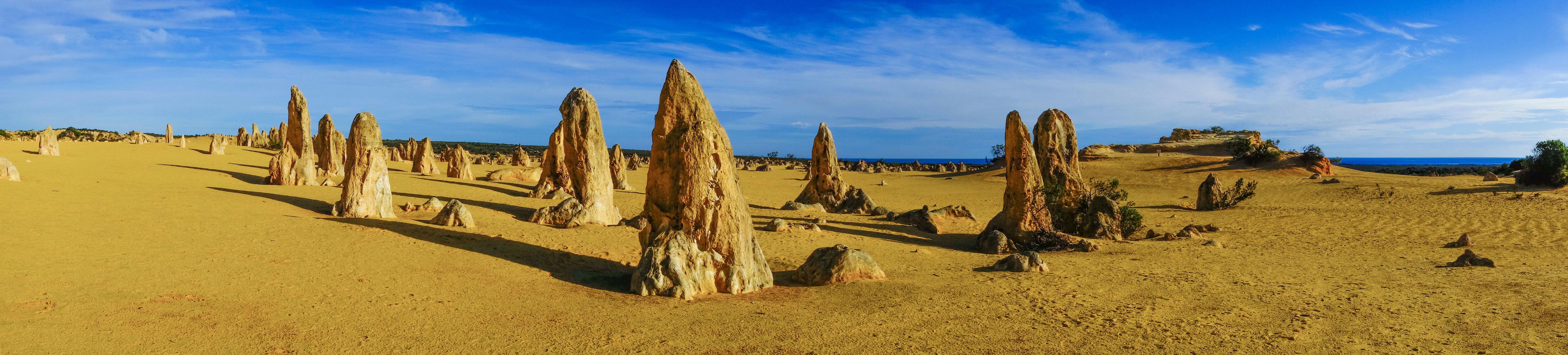 Coral Coast Wildlife, Nambung, Western Australia