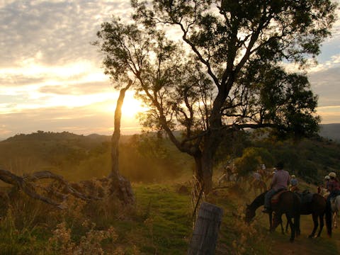 Leconfield Five Day Jackaroo And Jillaroo School Tamworth Visitnsw Com