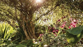 Wendy Whiteley's Secret Garden