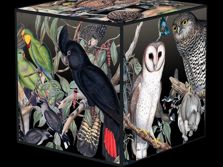 image shows detailed illustrations of Australian birdlife