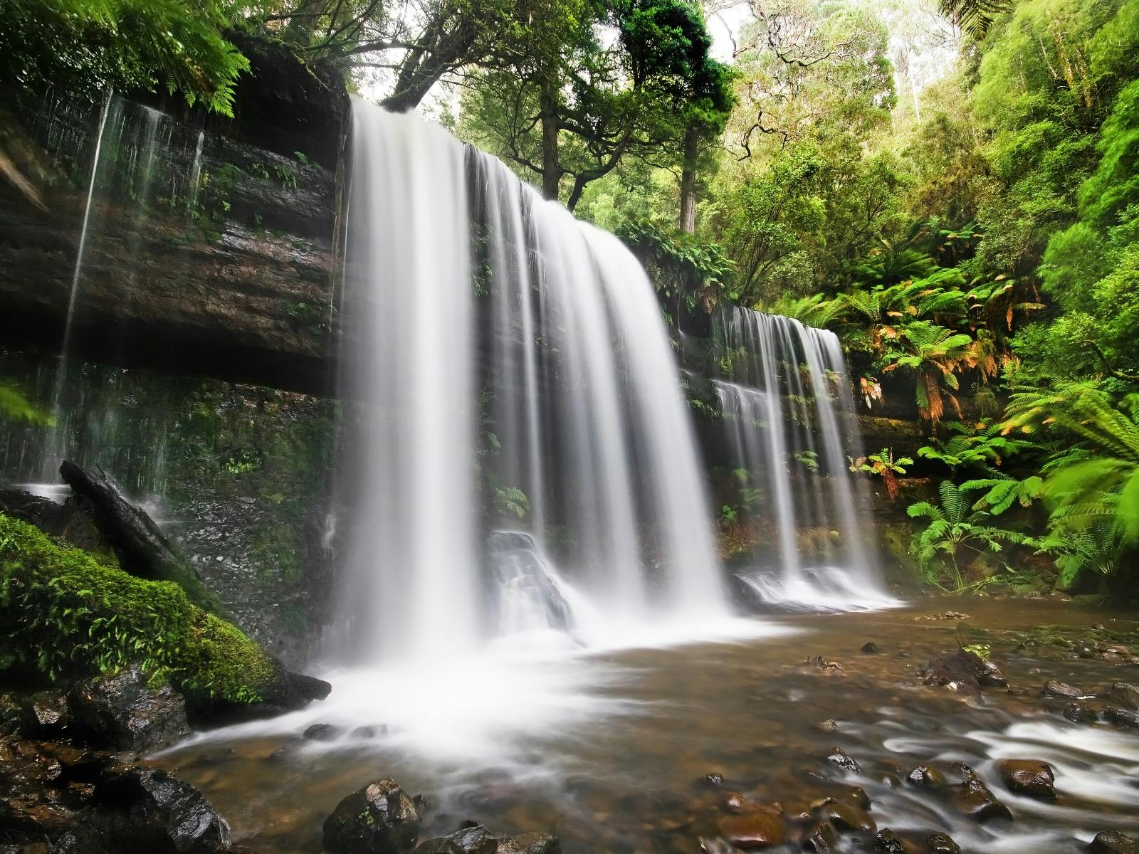 Russell Falls, Tasmania
