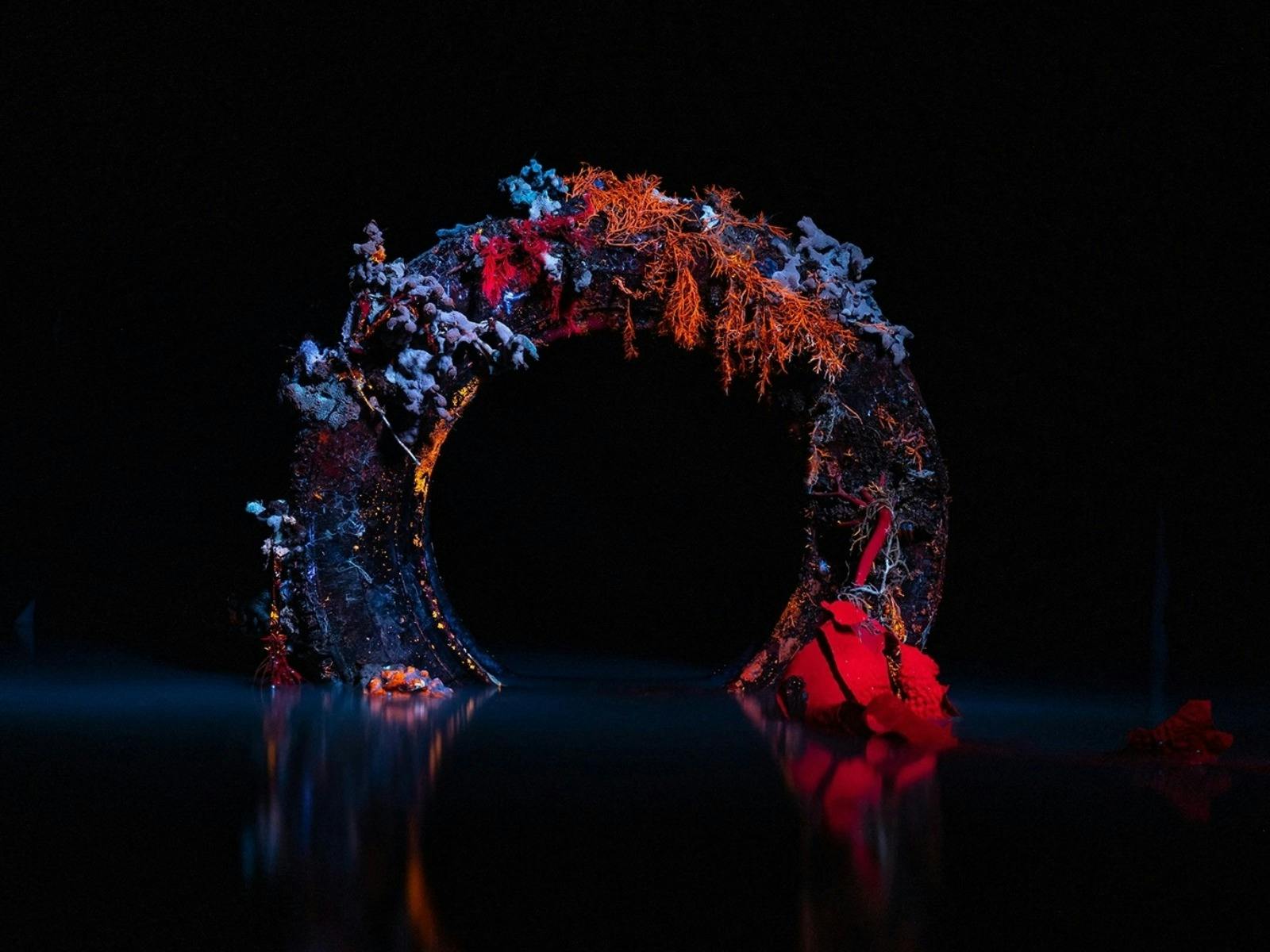 Unseen by Matthew Bagley at Berninneit Art Gallery