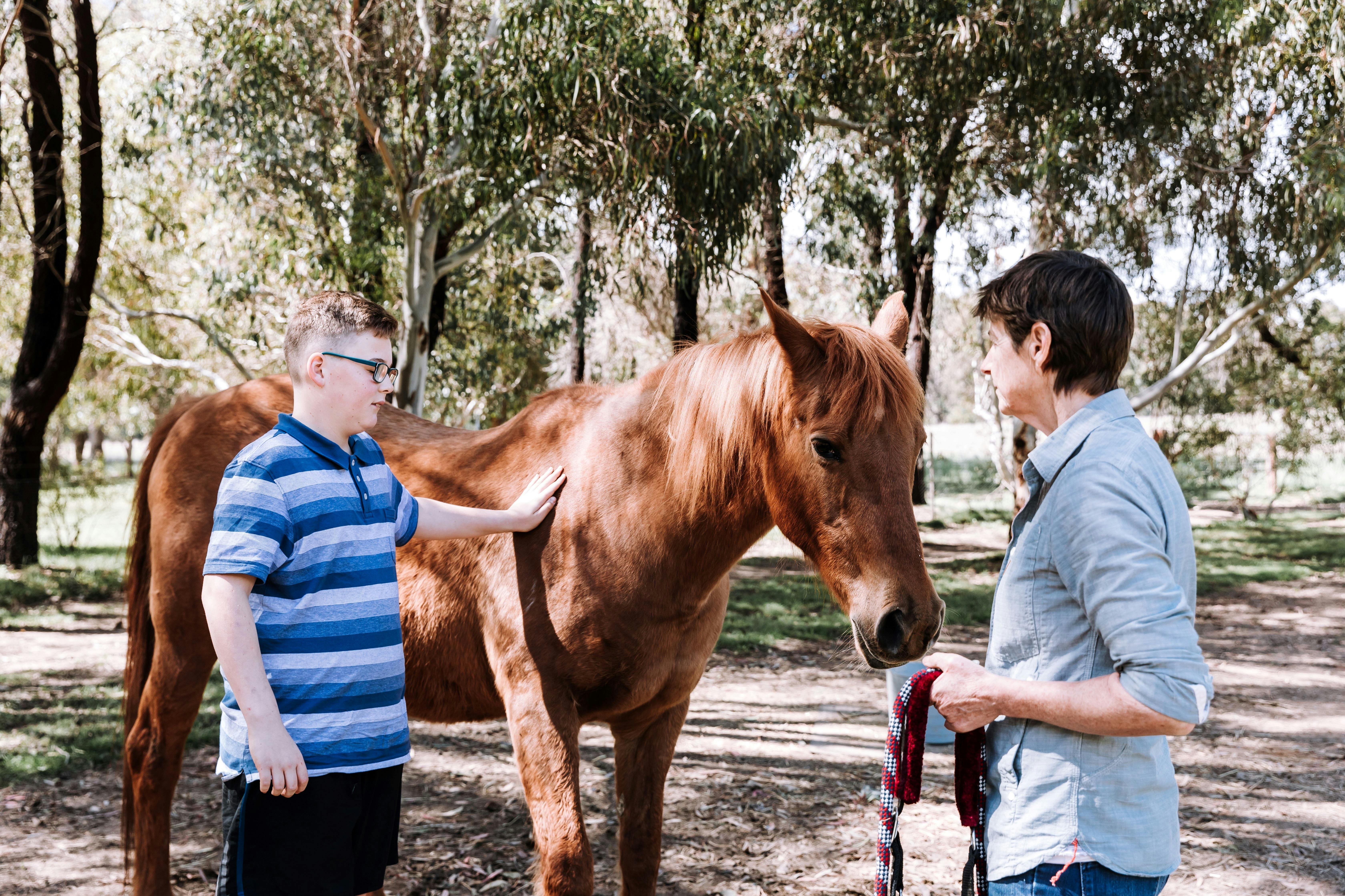 Young person gently touching a horse while Jenny facilitates an equine session outdoors