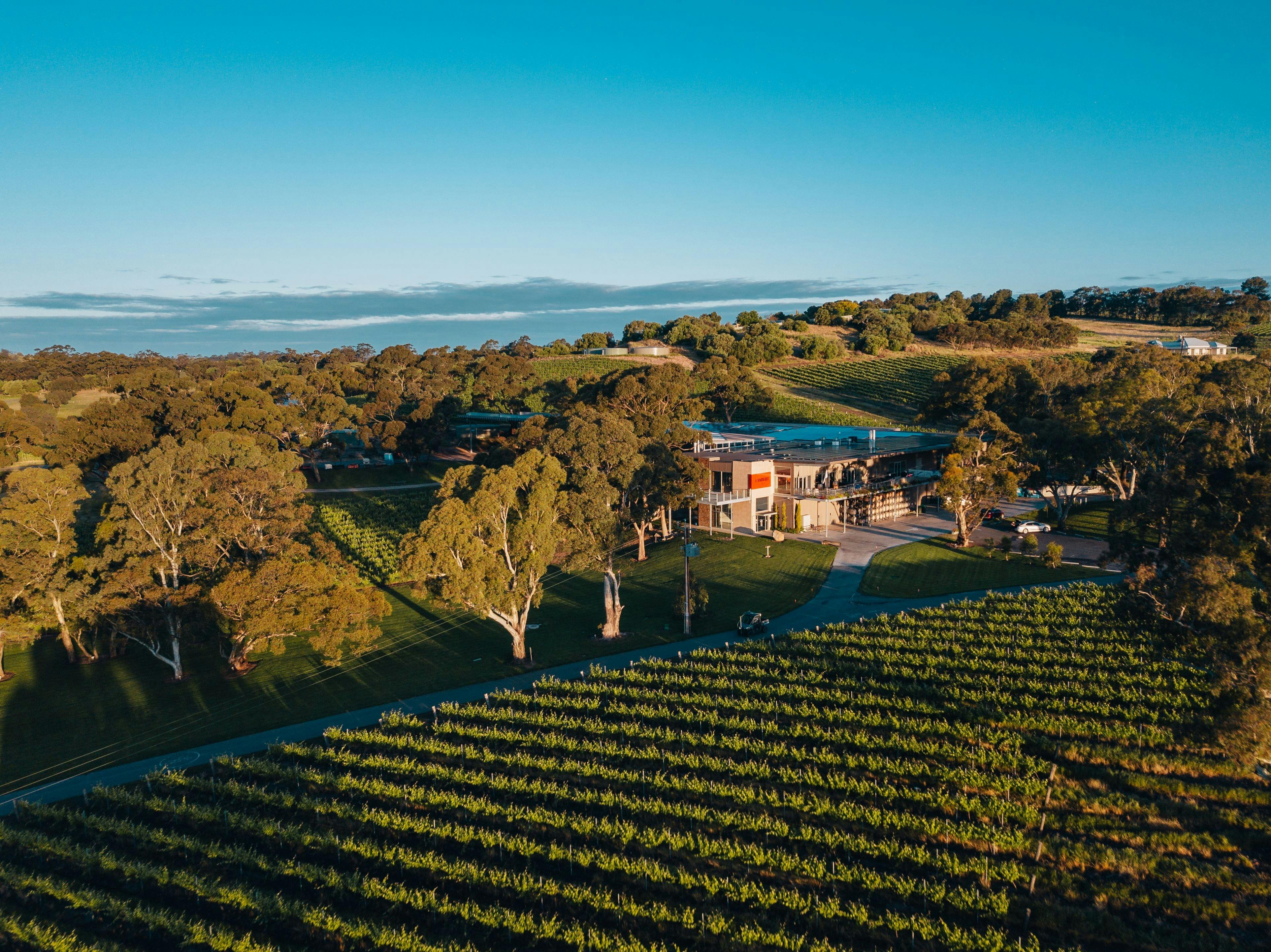 EcoVine Explorer - vineyard e-cart tours