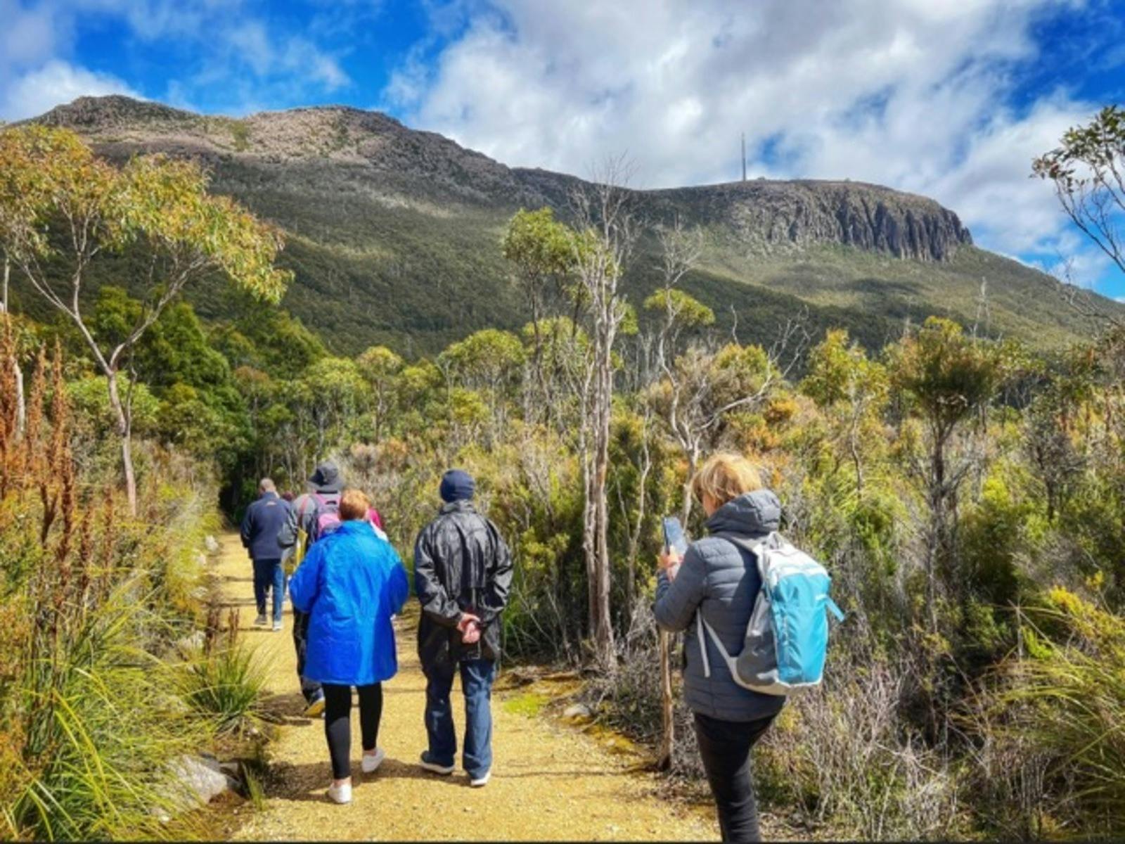 One of the short walks on kunanyi/Mt Wellington