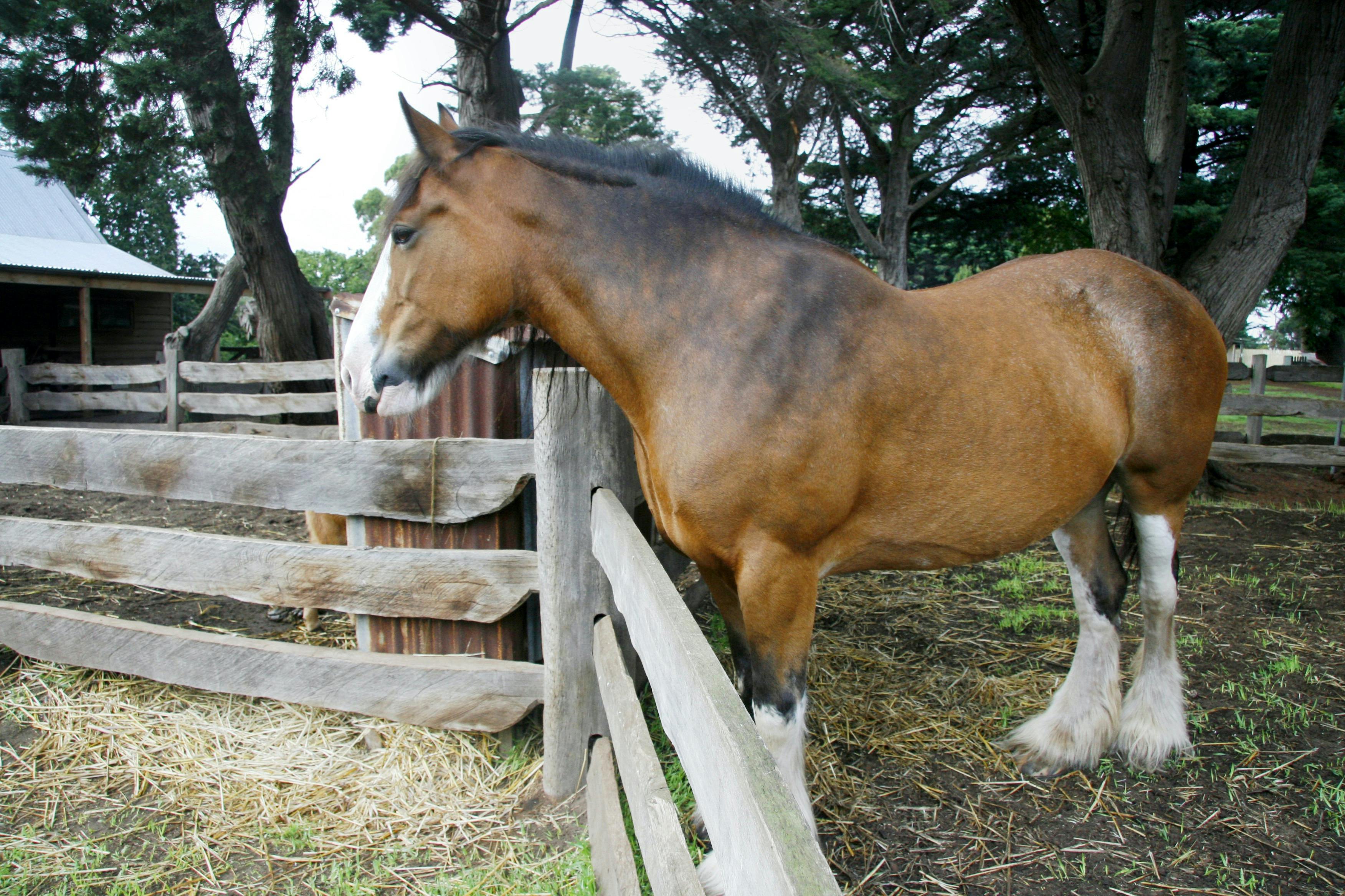 Meet some of Churchill formidable characters