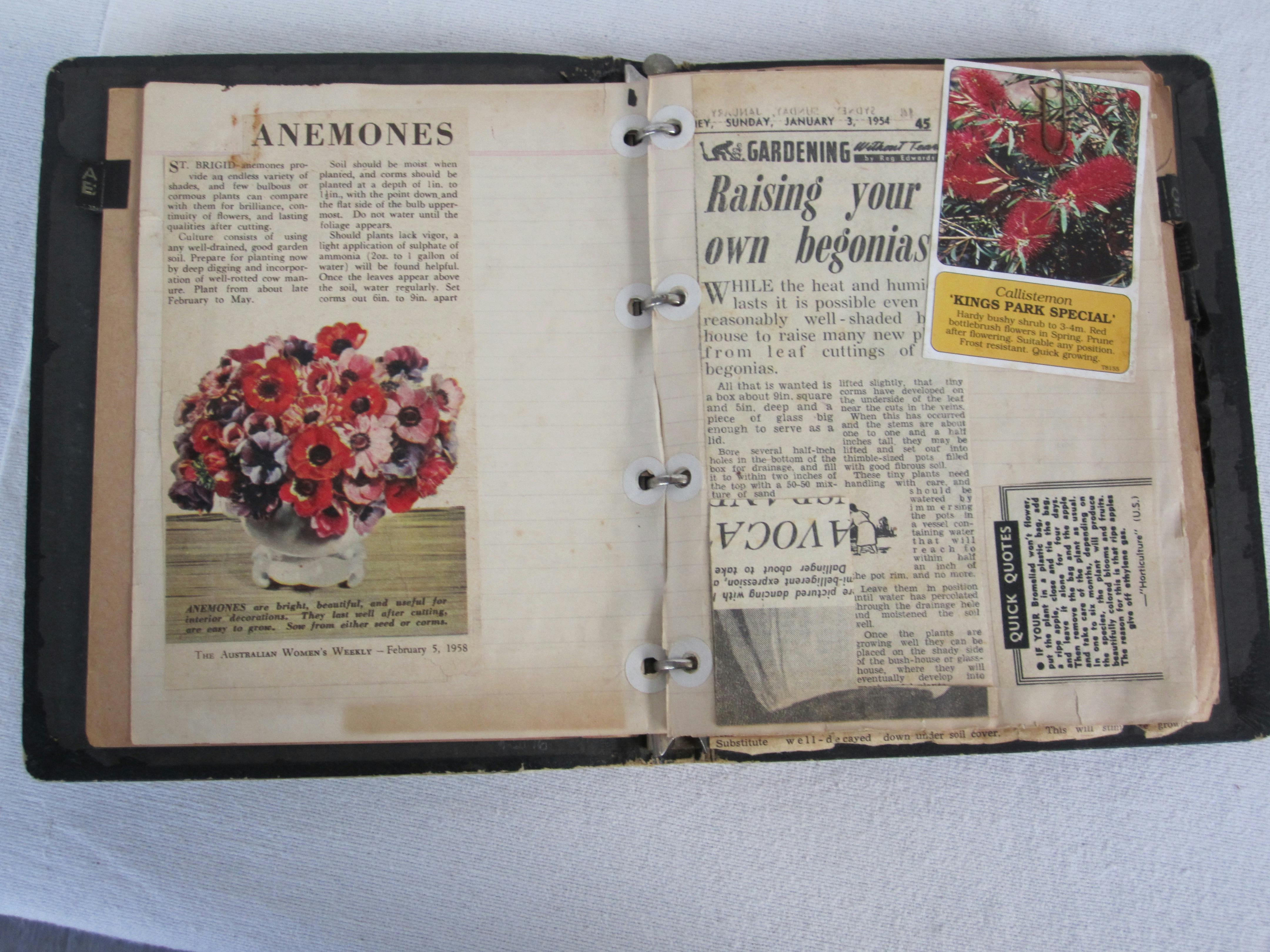 Part of the scrapbook