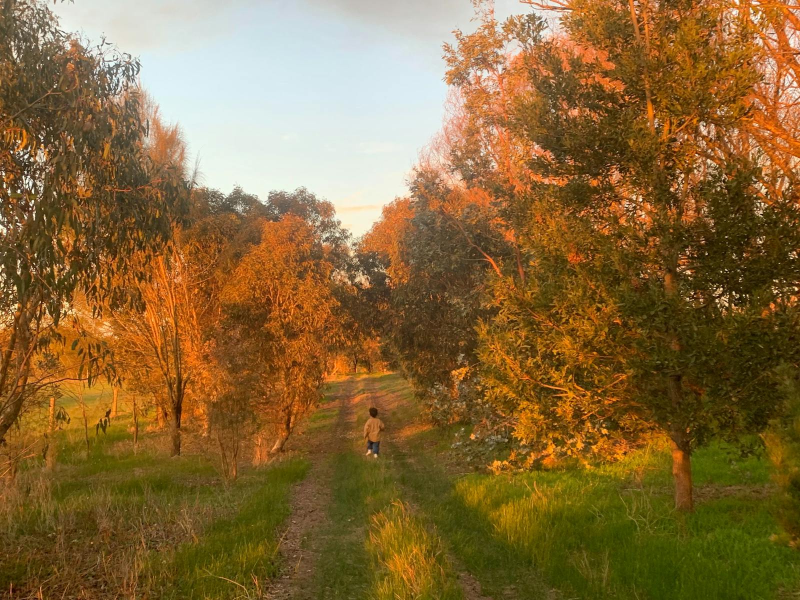 Image for Walk to the Waterhole and Picnic