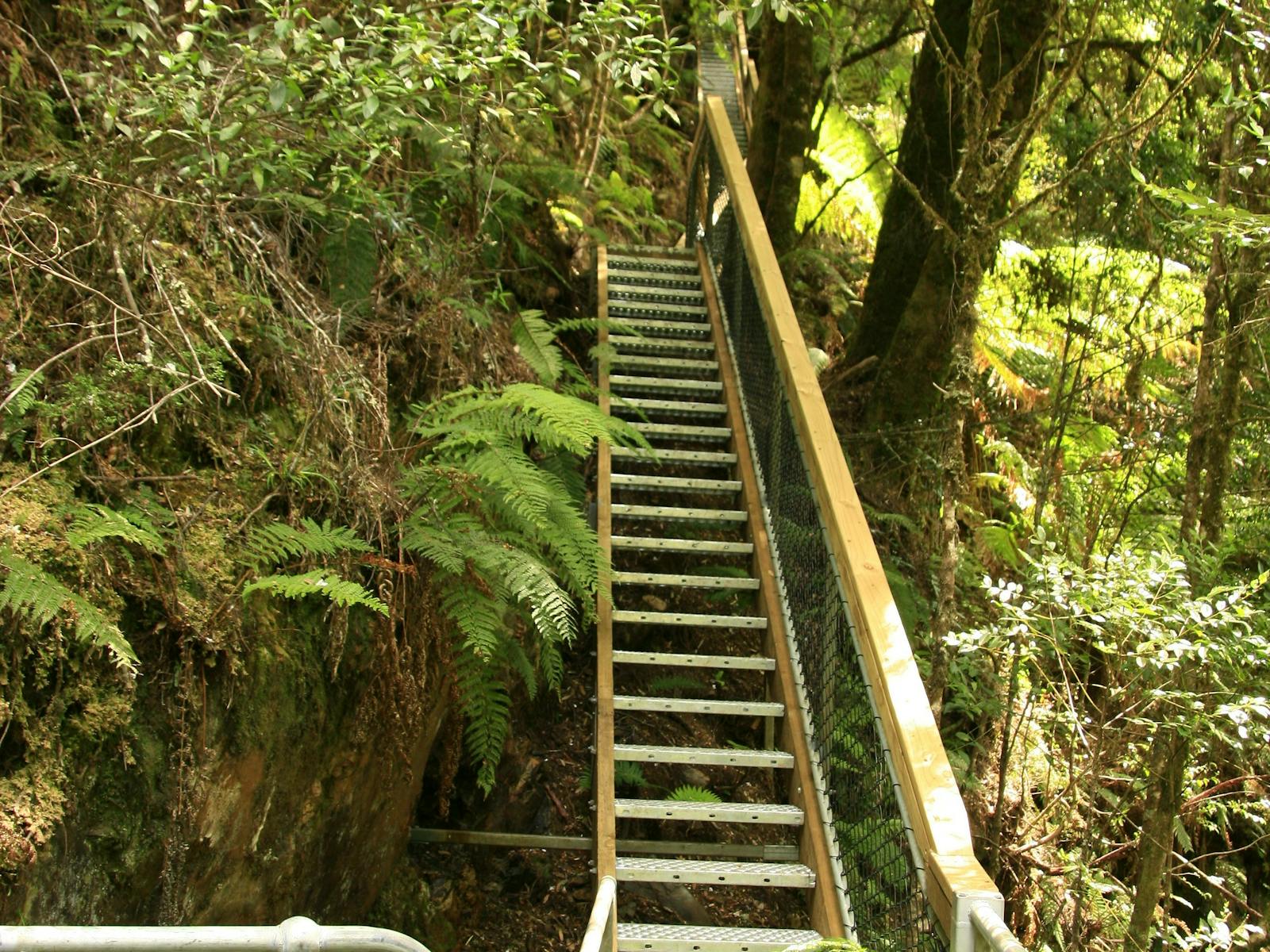 stairs to viewing platform