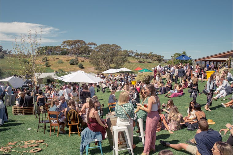 Picnic at Paxton's with Live Music