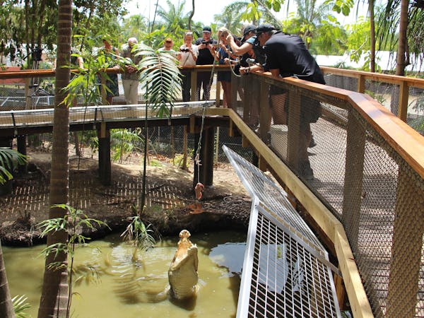 Wildlife Habitat Port Douglas - Boyd oh Boyd Do you think