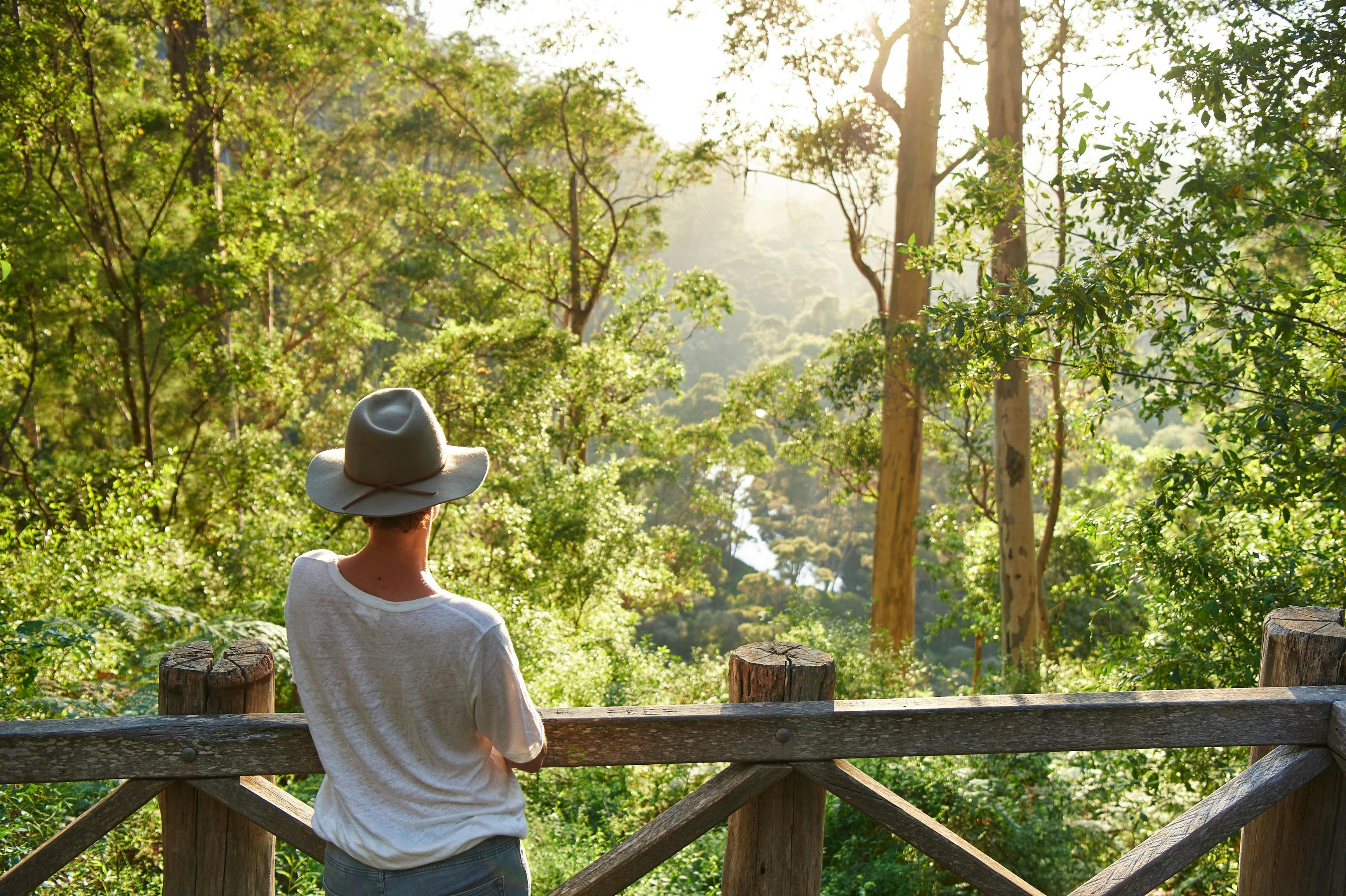 Warren River Loop Walk