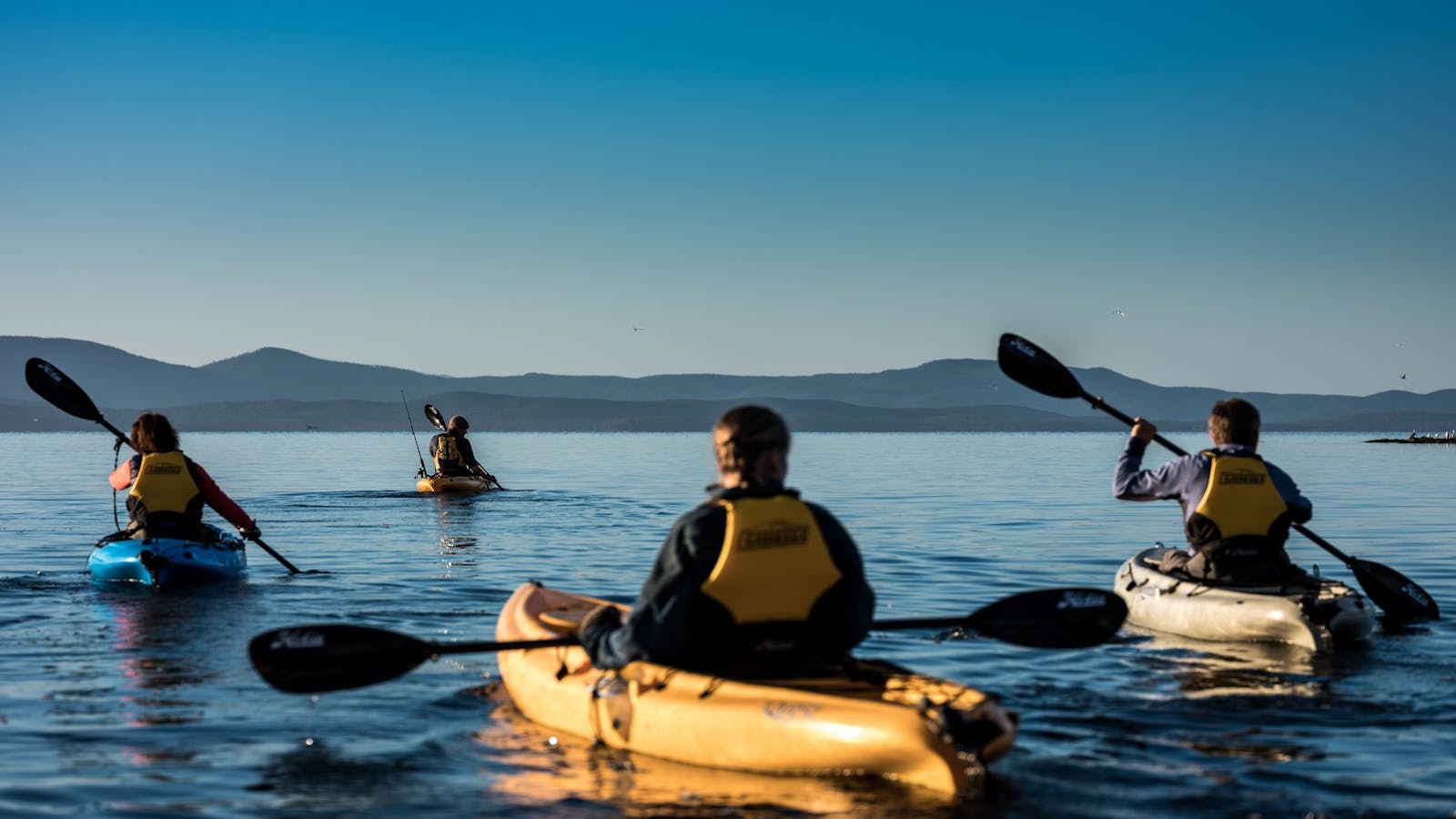 Get Paddling in Far South Tasmania