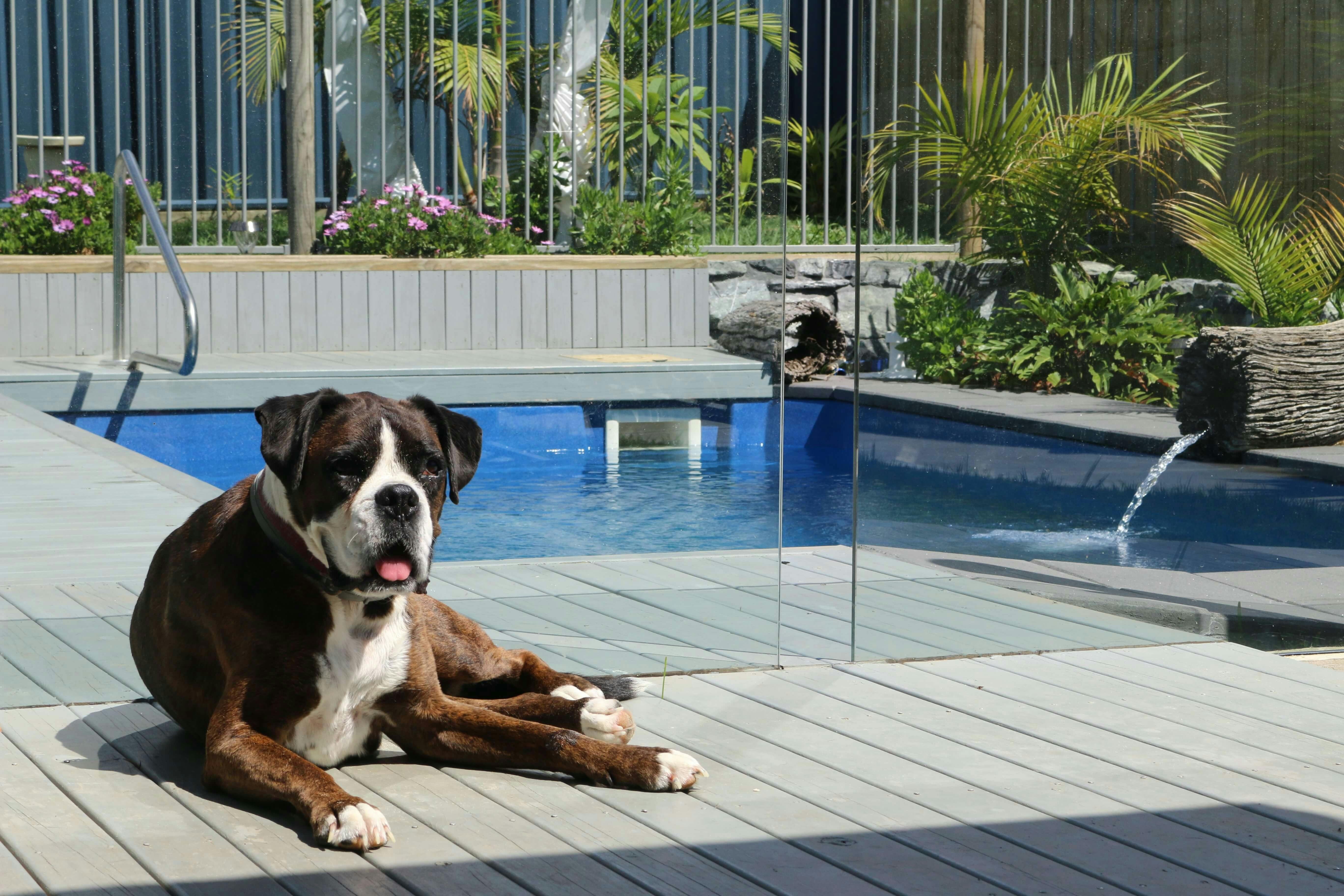 Wheelchair accessible accommodation  & dog friendly holiday home with accessible pool and pool hoist