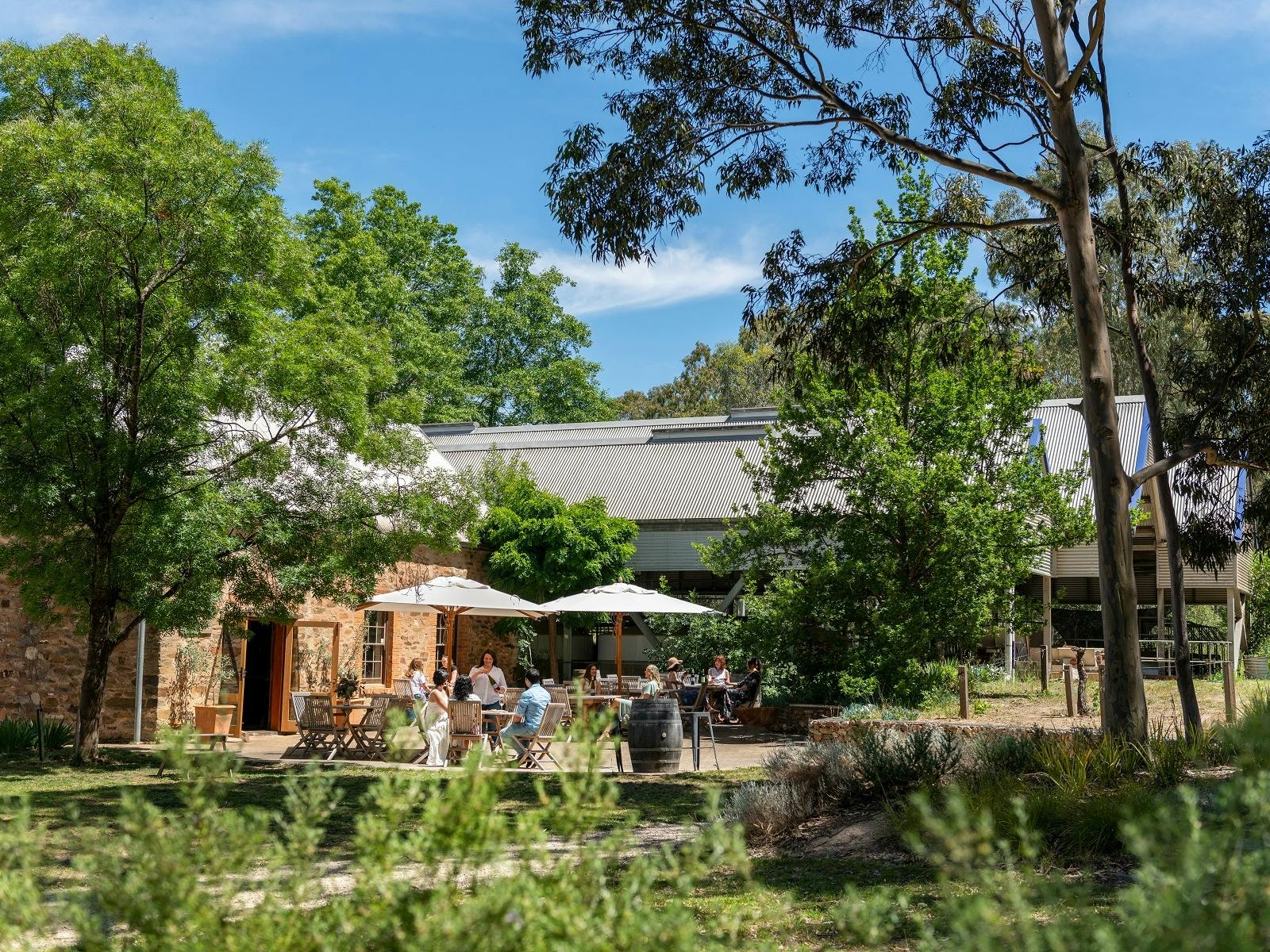 Mitchell Wines cellar door and tasting room