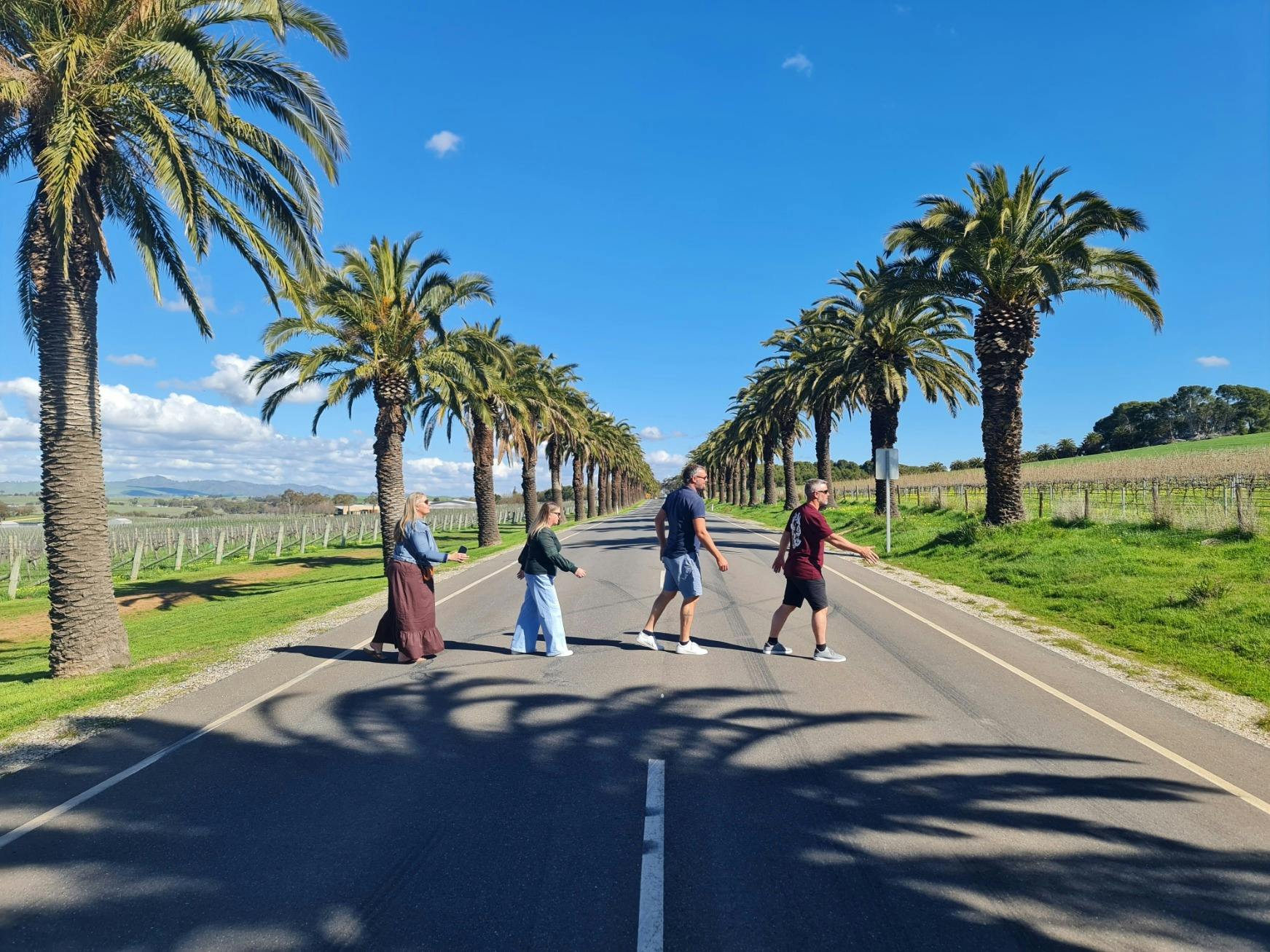 Barossa Group of Four; Local pickup, Private Tour including Lunch
