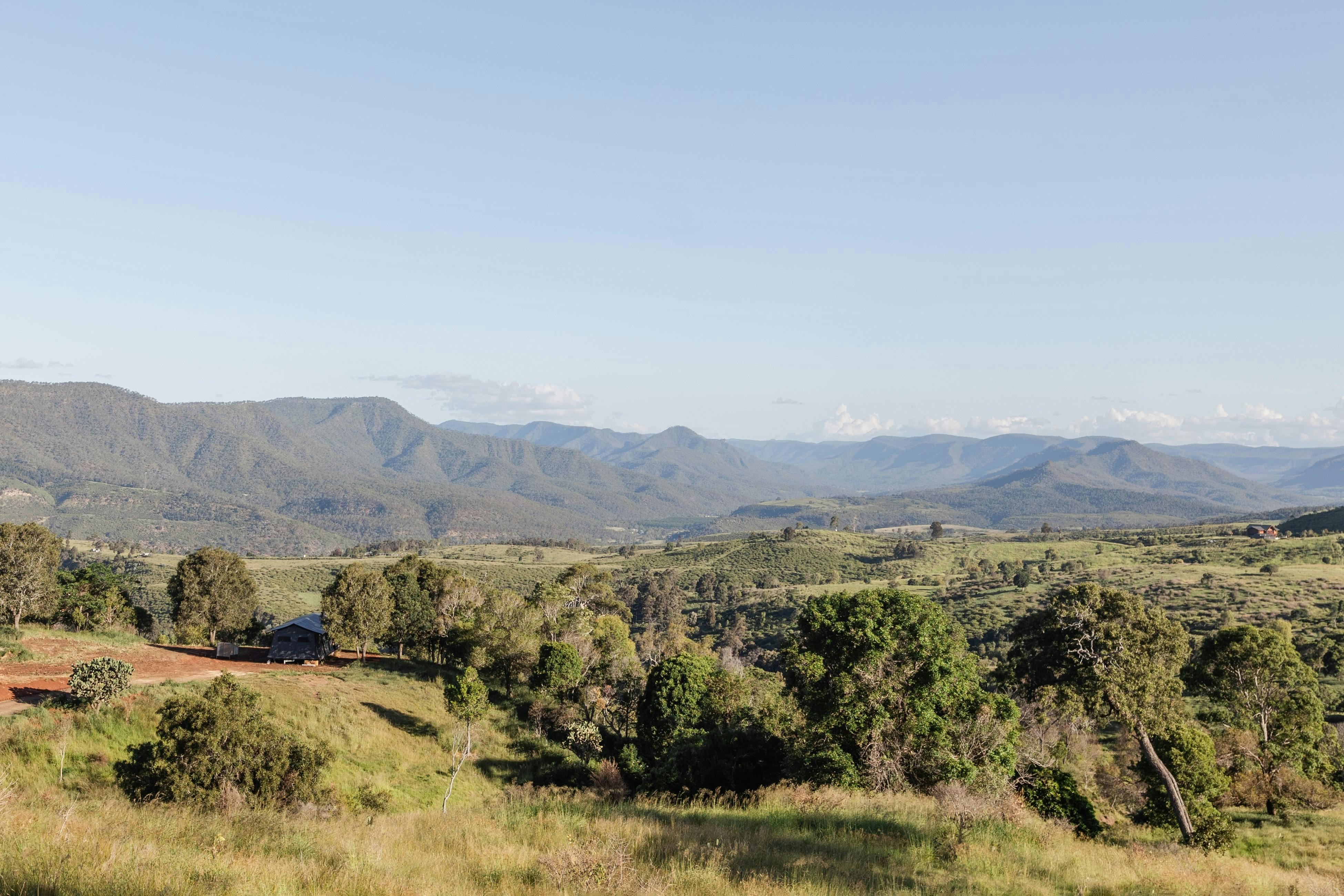 Loki,  tucked in amongst the trees with a stunning view toward Glen Rock Regional Park