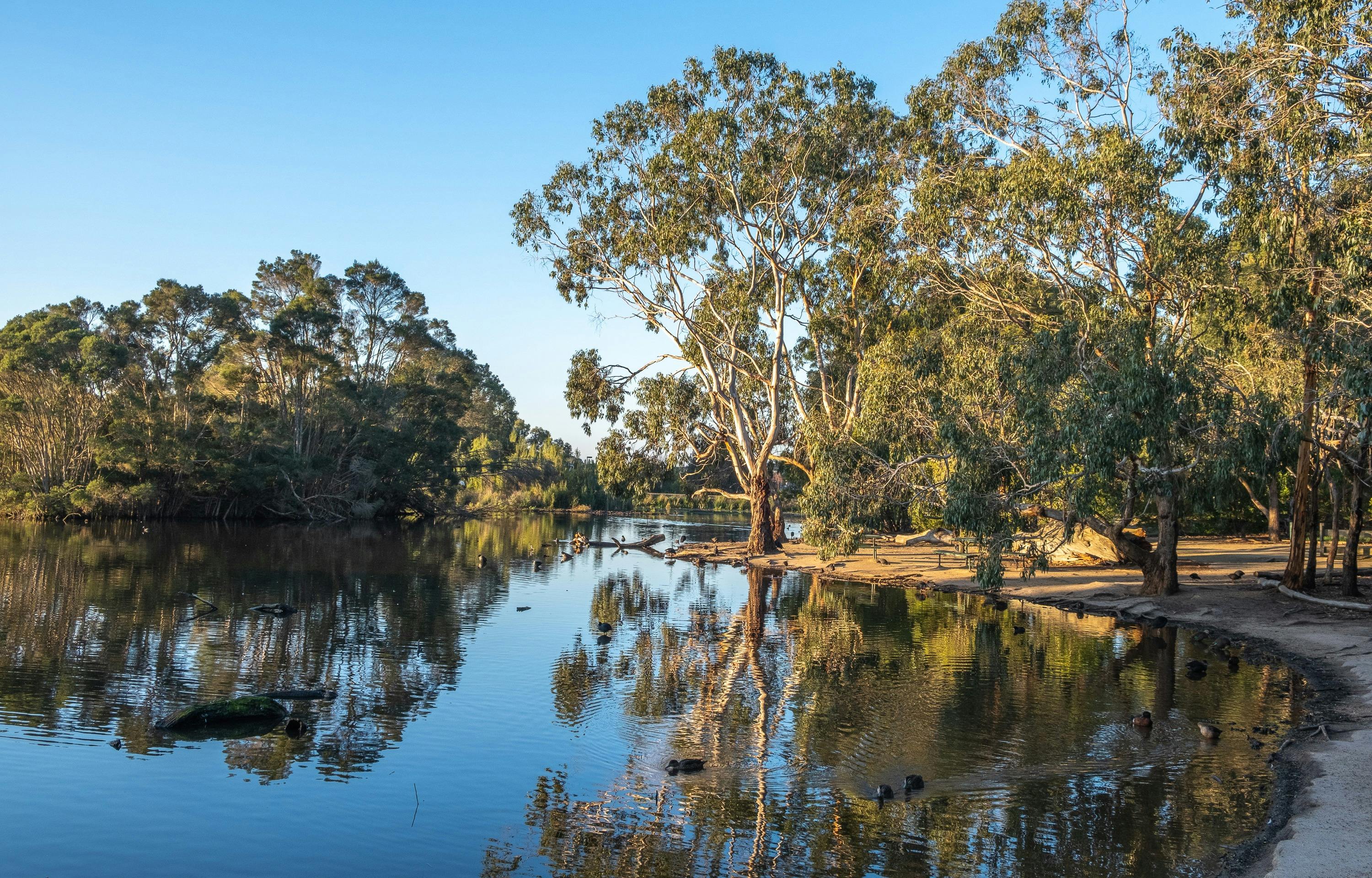 Traralogon Railway Reservoir Conservations Reserve