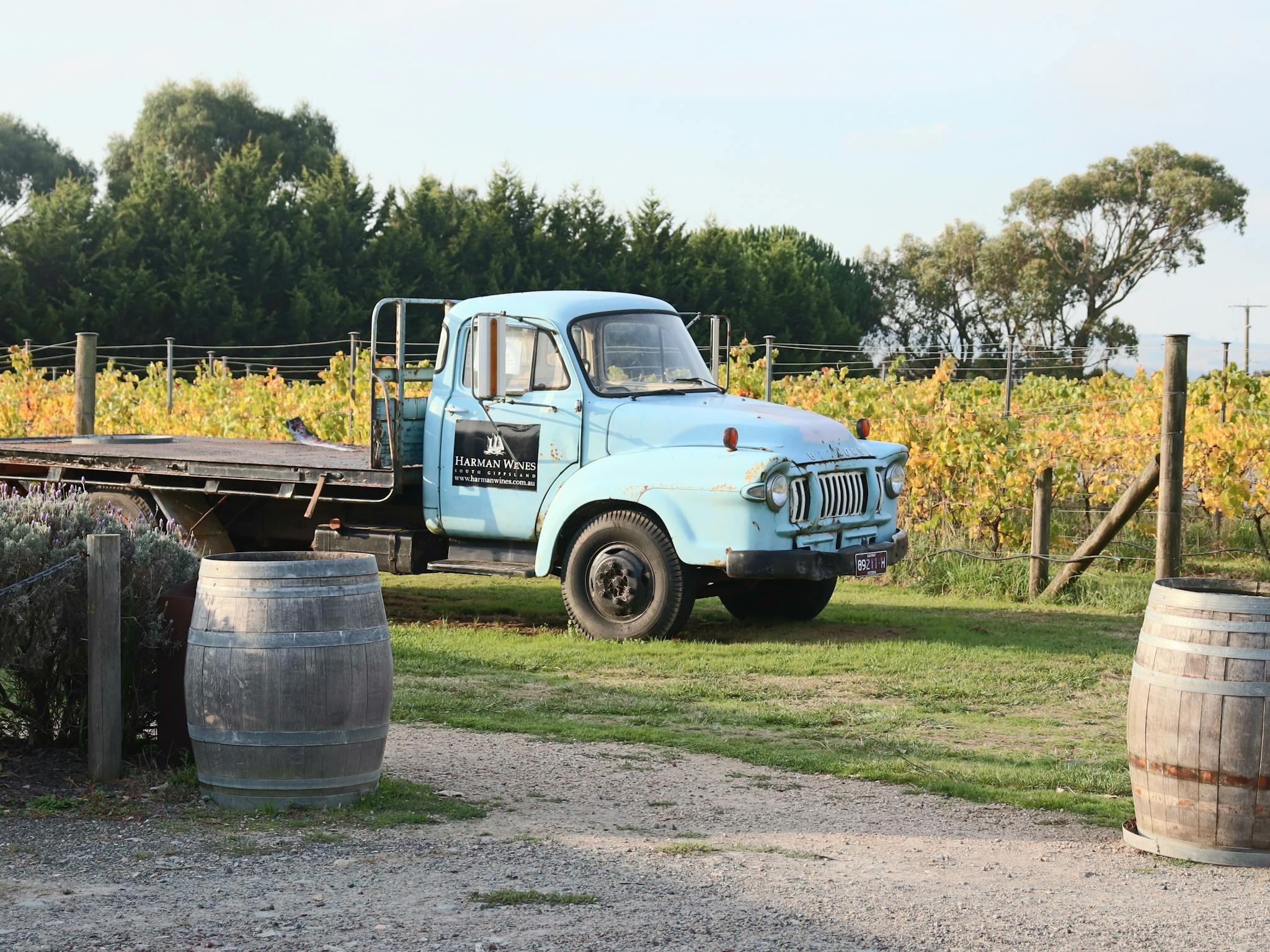 Billy the Bedford at Harman Wines