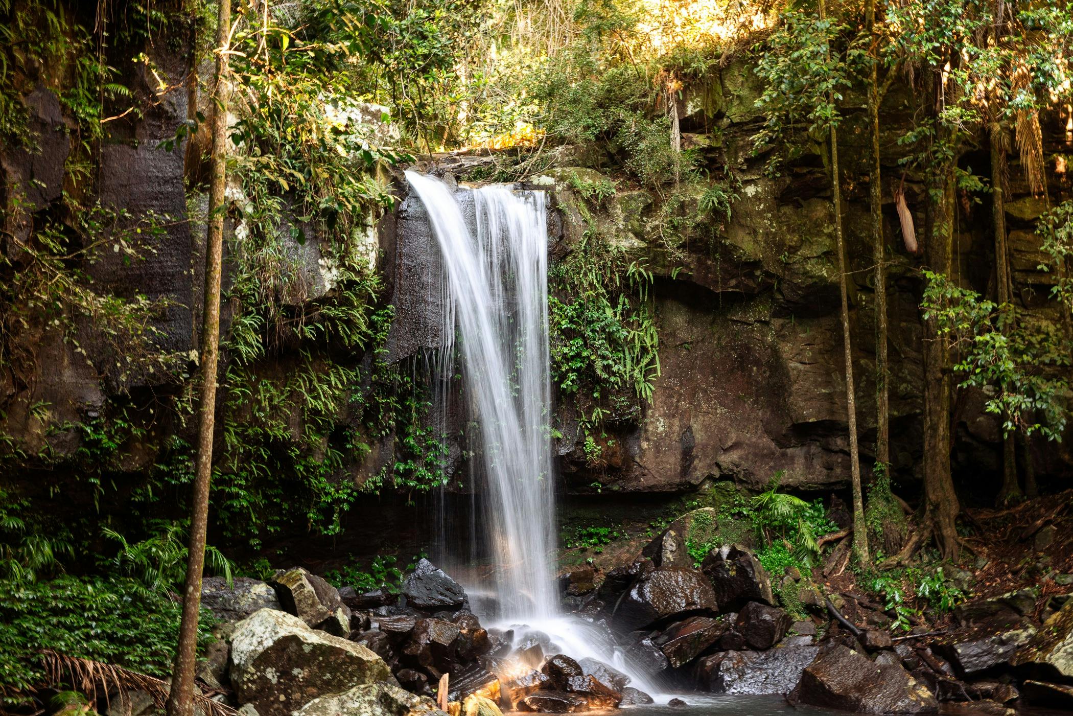 Waterfall on Tamborine Mountain