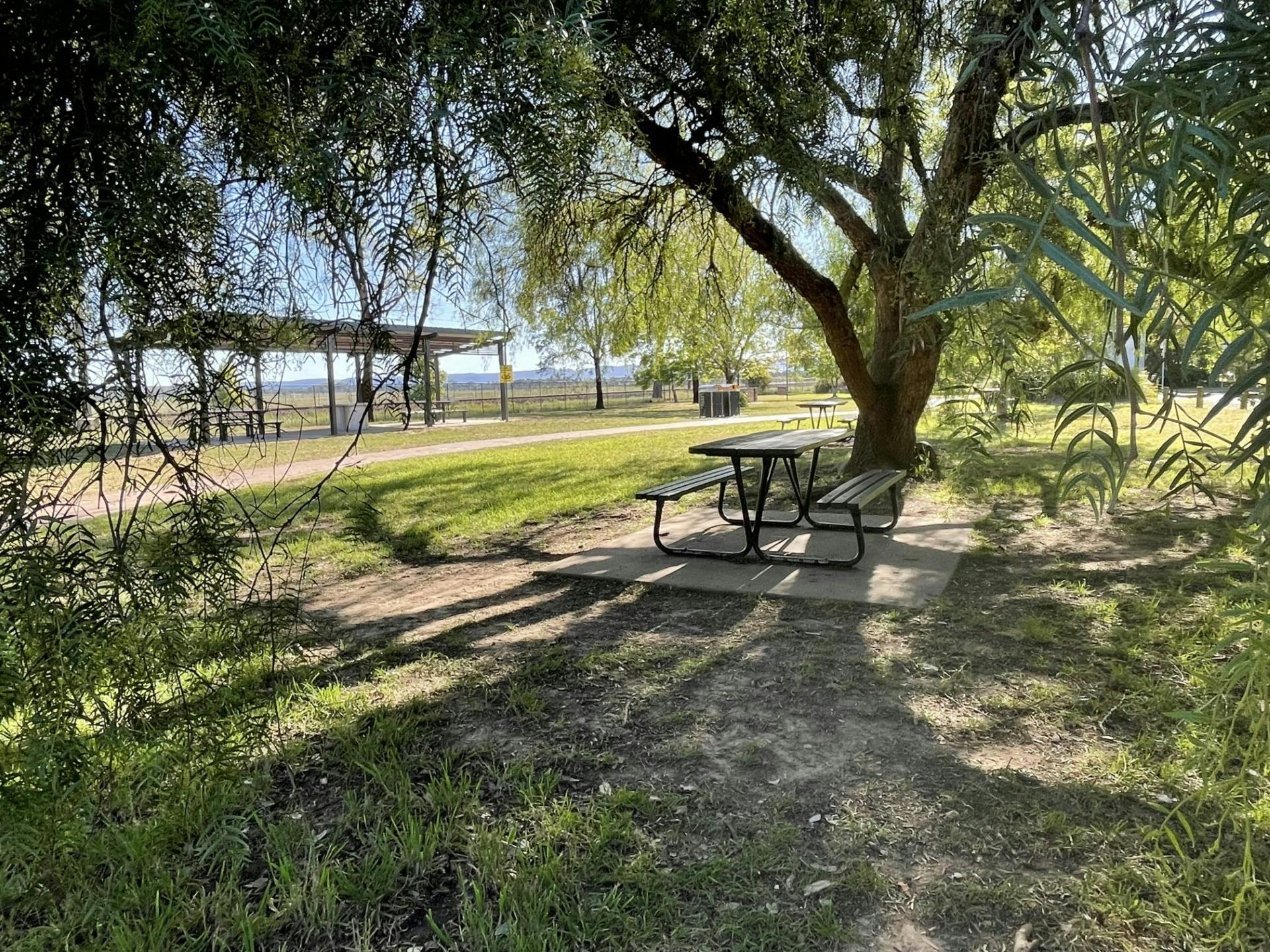 Leafy picnic area at Ham Common