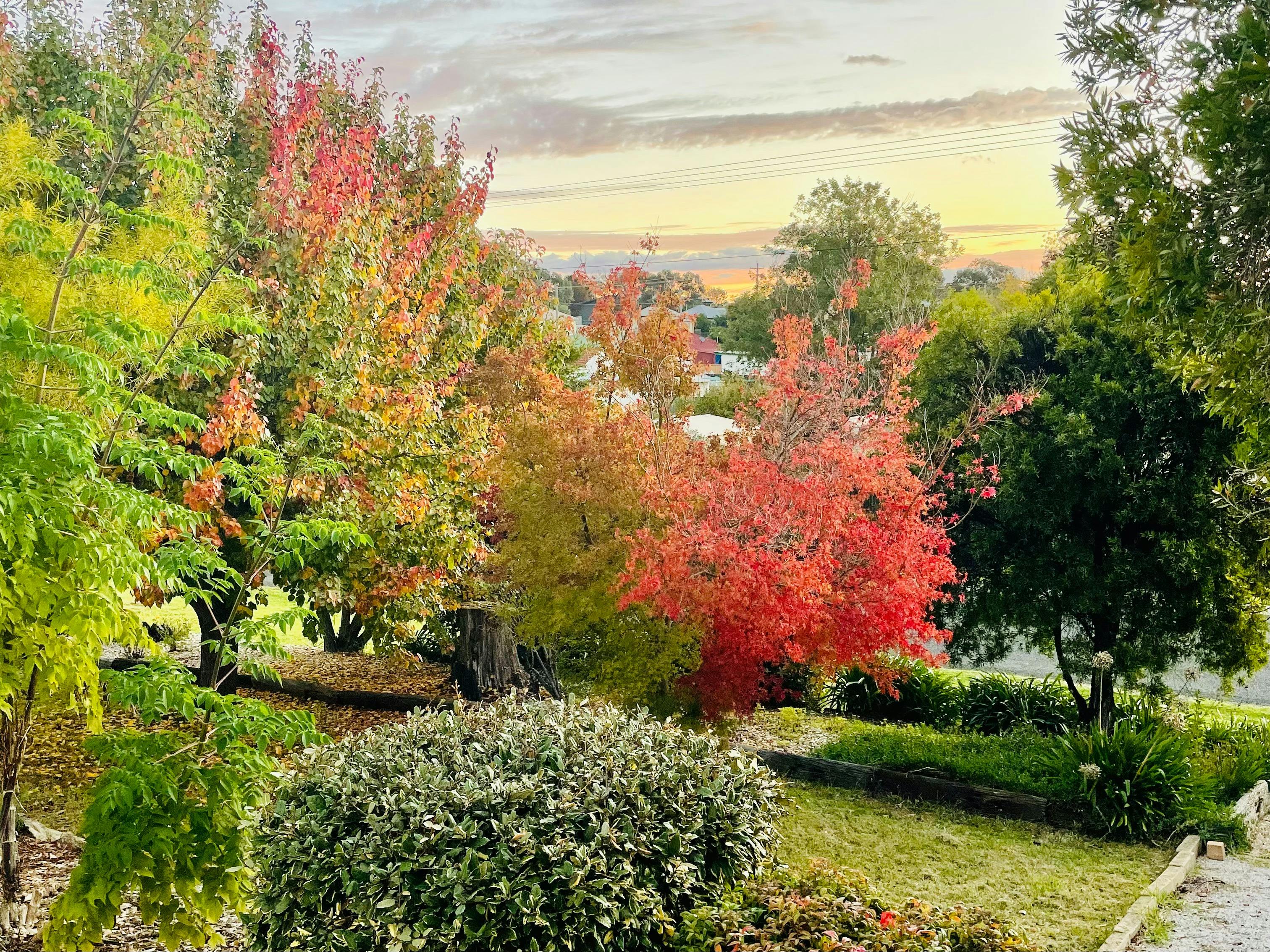 Established gardens - front of house