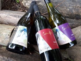 Caroline Hills wines