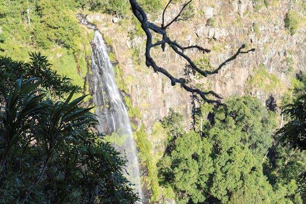 Morans Falls track, Lamington National Park