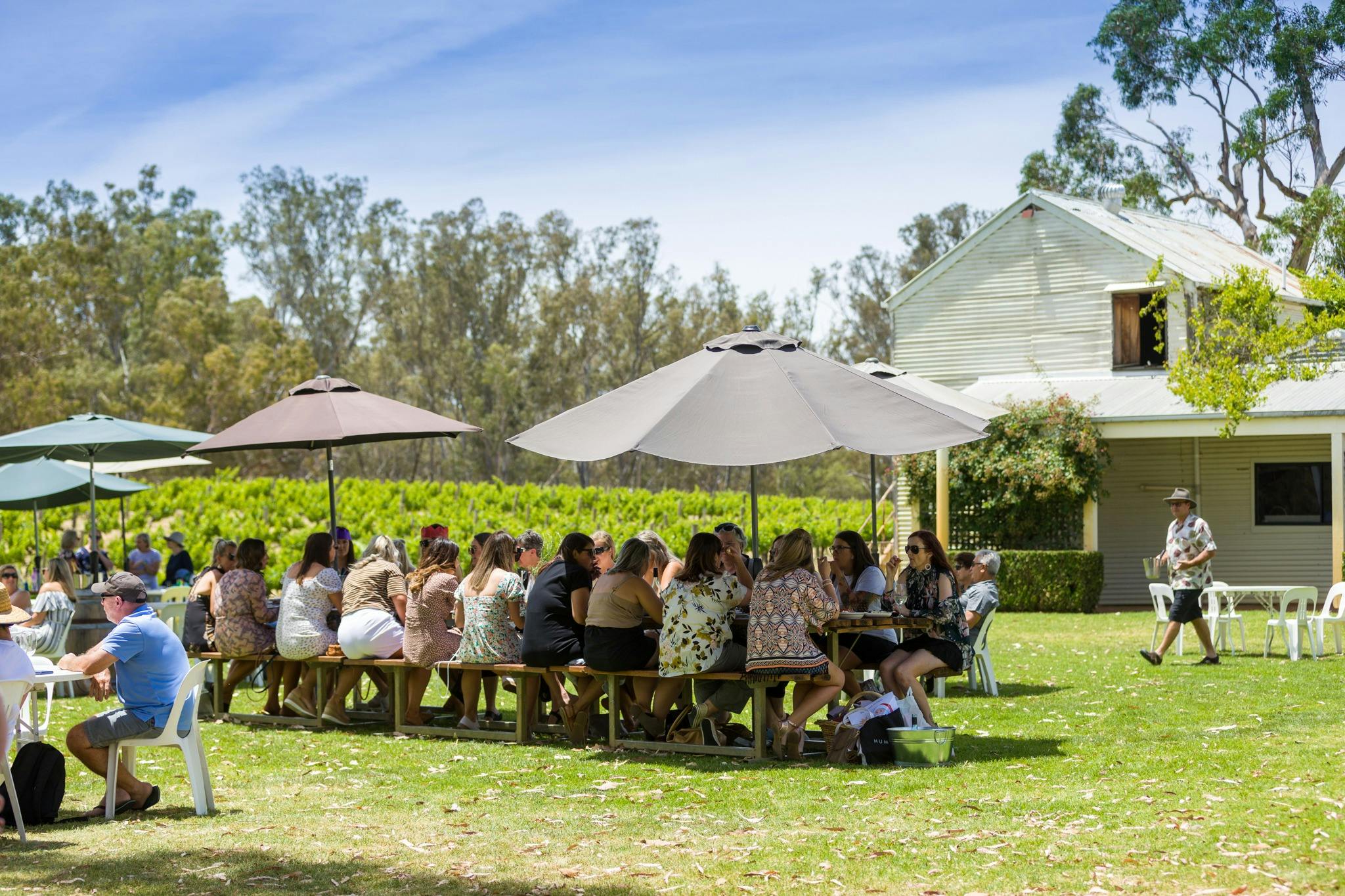 元旦の芝生パーティー