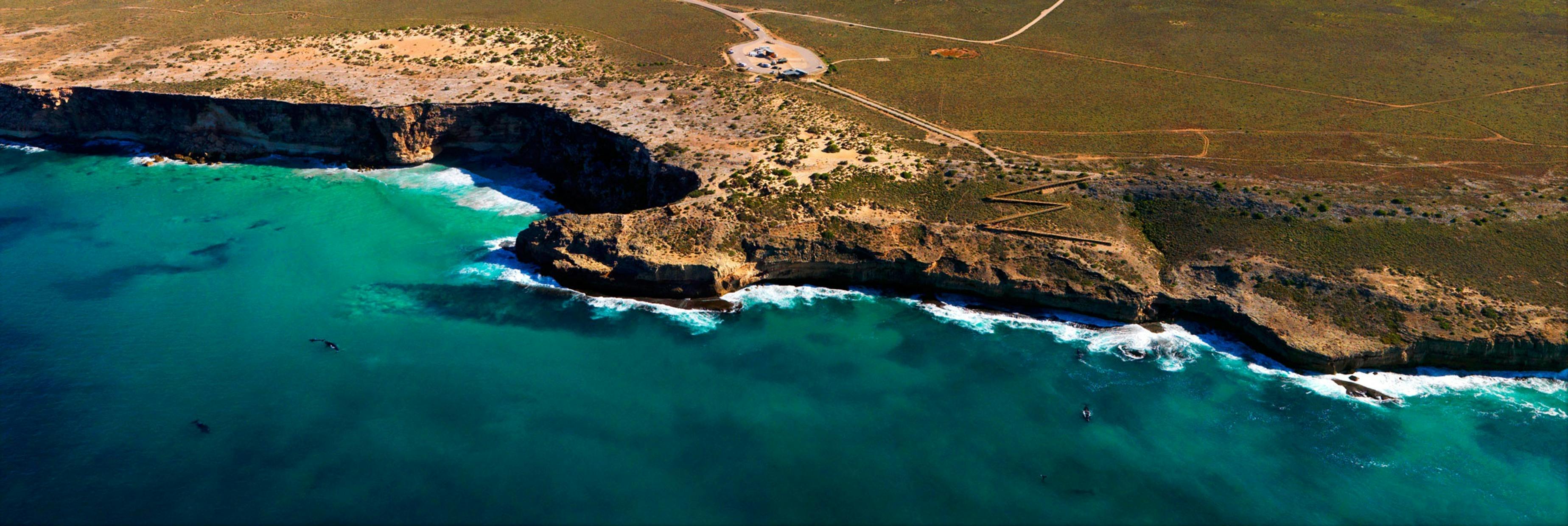 Head of Bight Whale Watching Centre