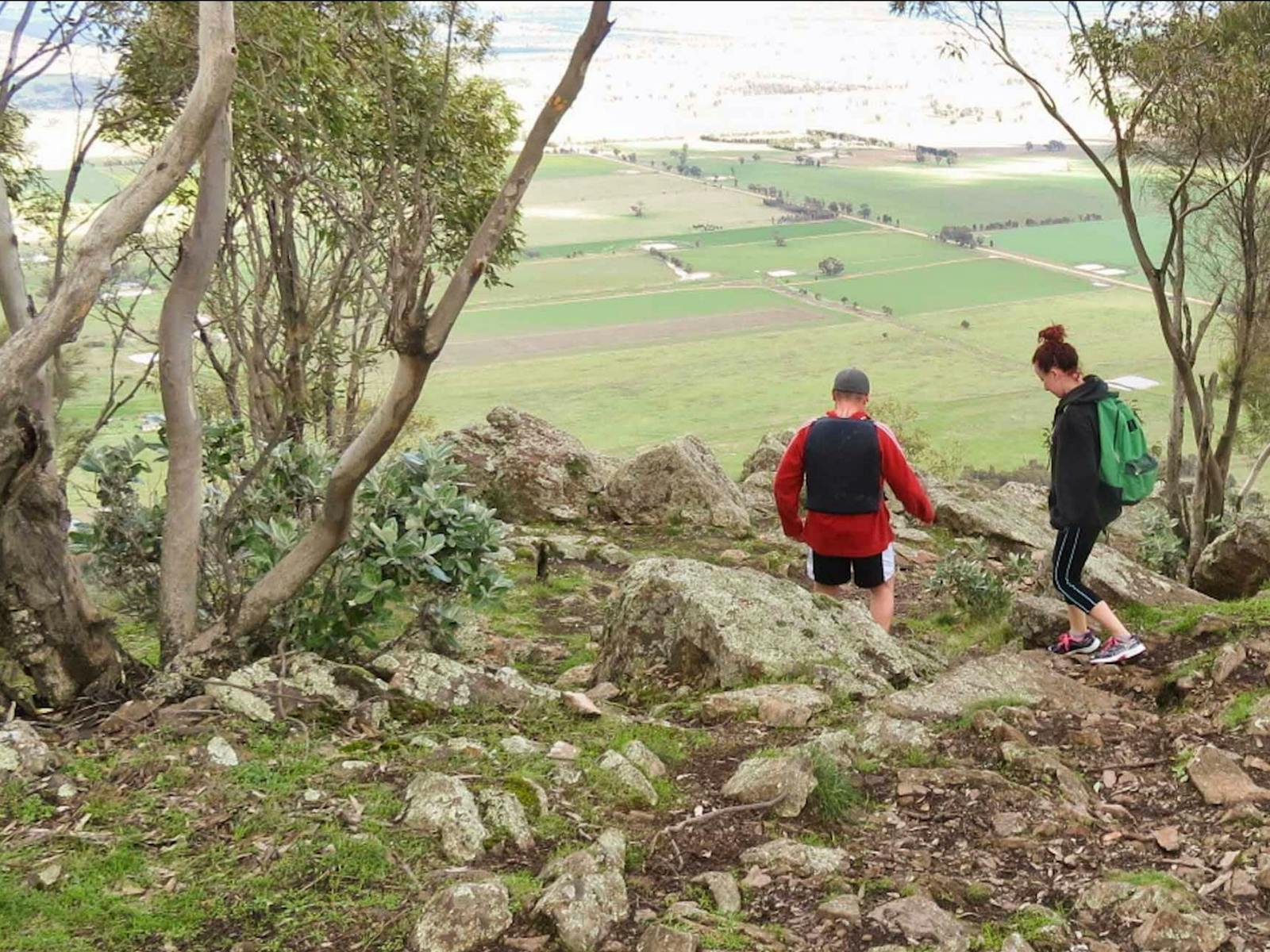 Yerong-Wanderweg, The Rock Nature Reserve - Kengal Aboriginal Place. Foto: Ein Lavendel