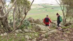 Yerong Walking Track