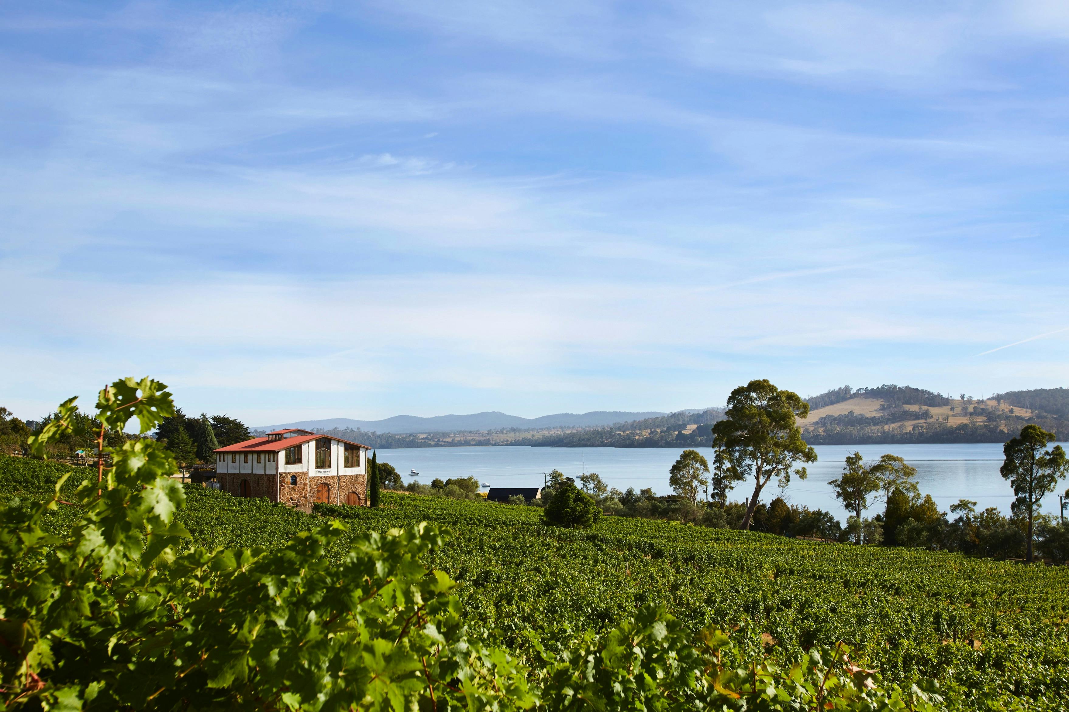 Marions on the river Tamar