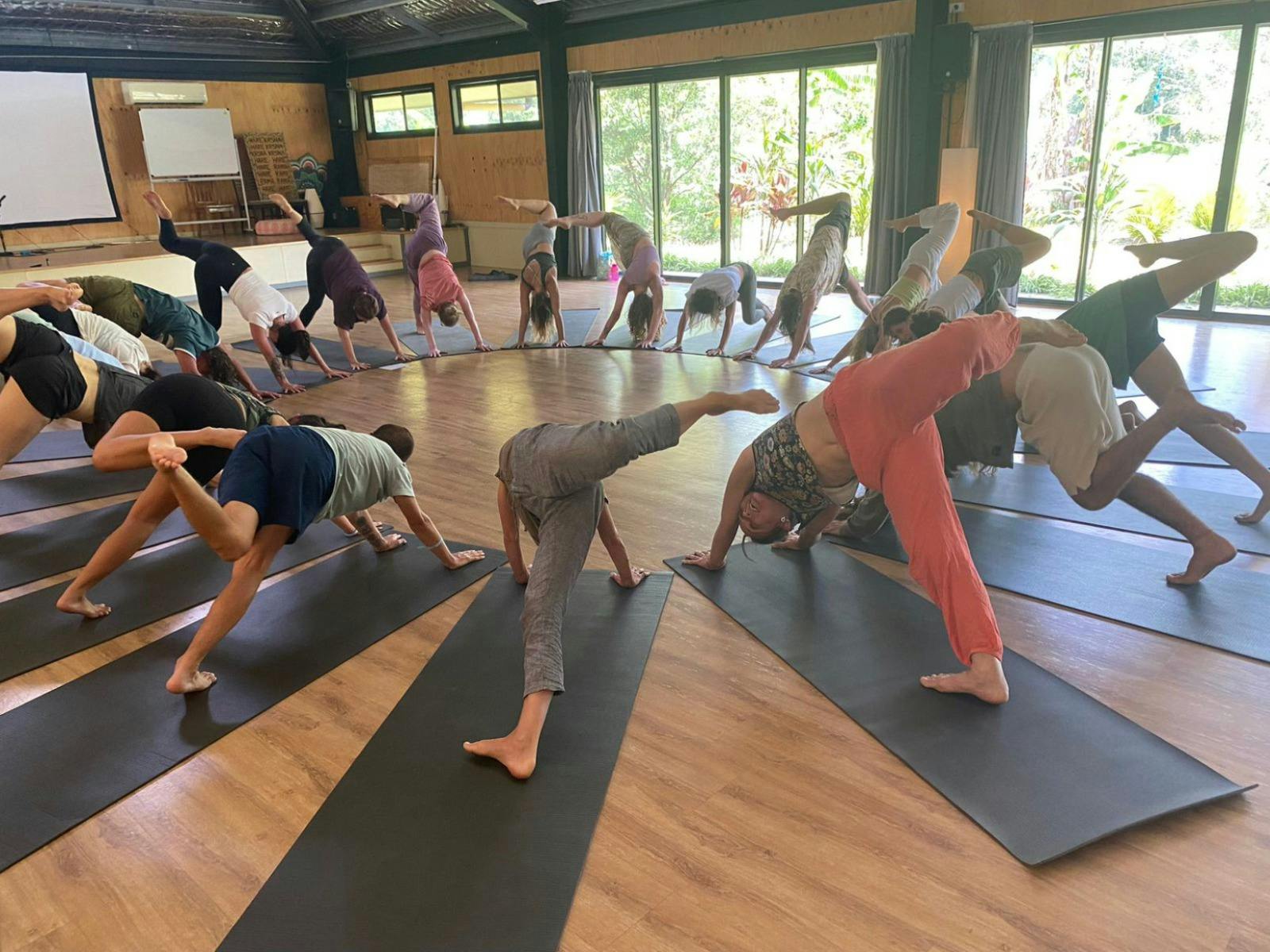 A group of yogis in a circle, in triangle pose. There are beginners as well as advanced yogis