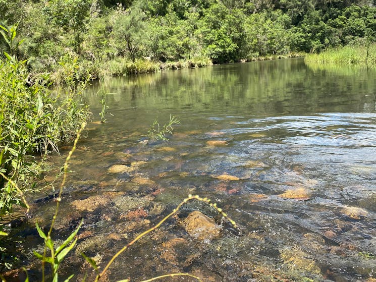 An inmate of the Ellenborough River with river stones, fresh and clear water surrounded by greenery