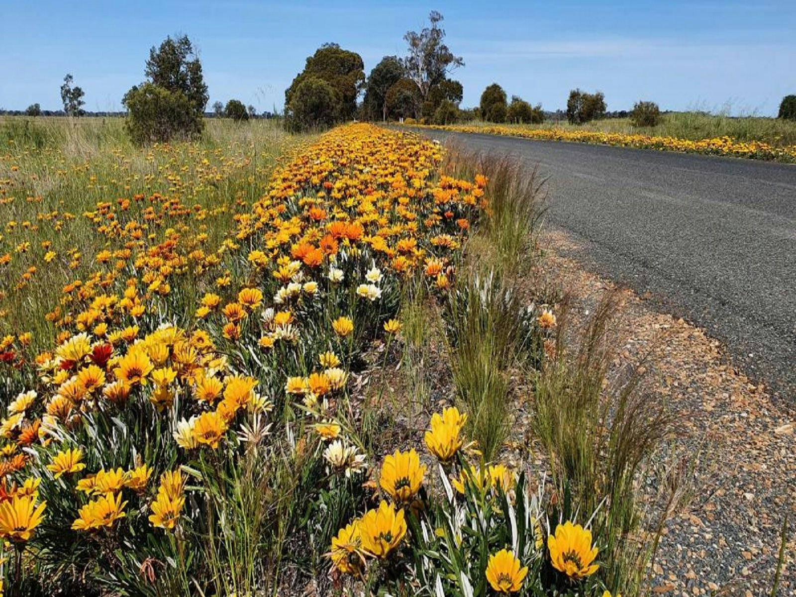 騎自行車平淡無奇
