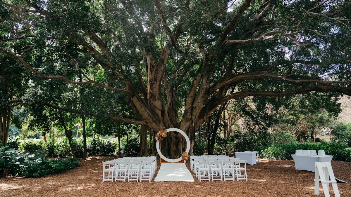 Tree wedding - Brisbane Botanical Gardens