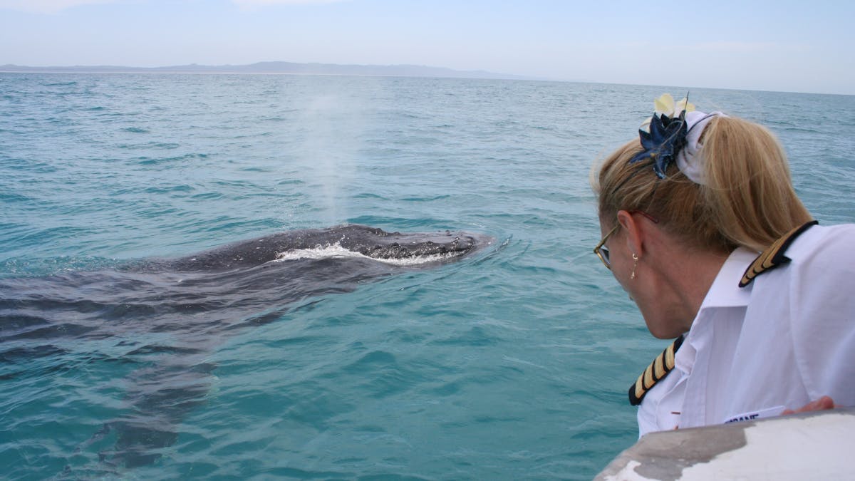 Kerry and Whale
