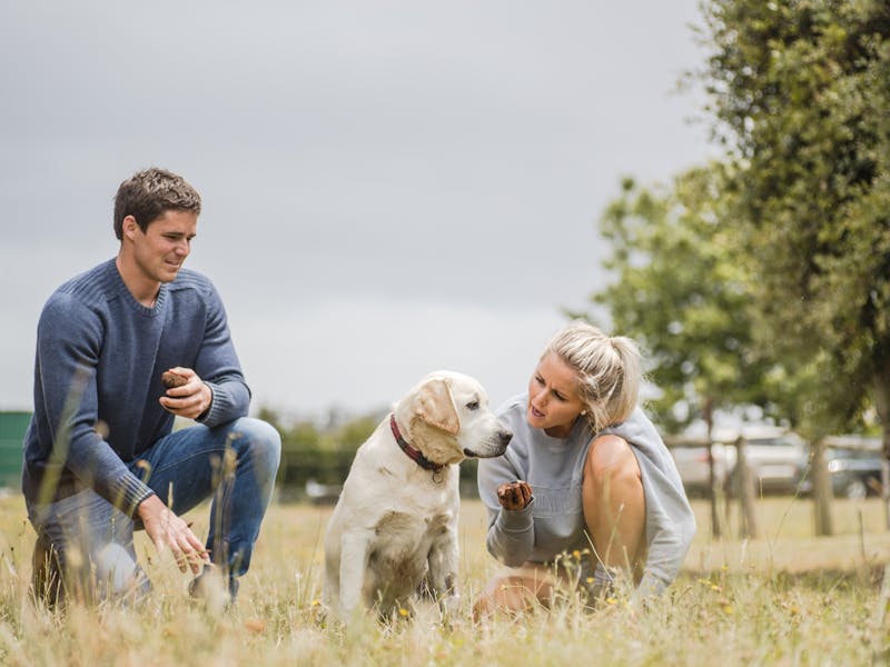 Anna and Henry Terry with Doug the truffle dog sitting in the truffle orchard hunting for truffle.