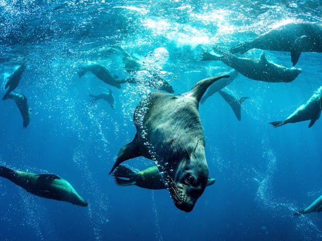 Jervis Bay Marine Park