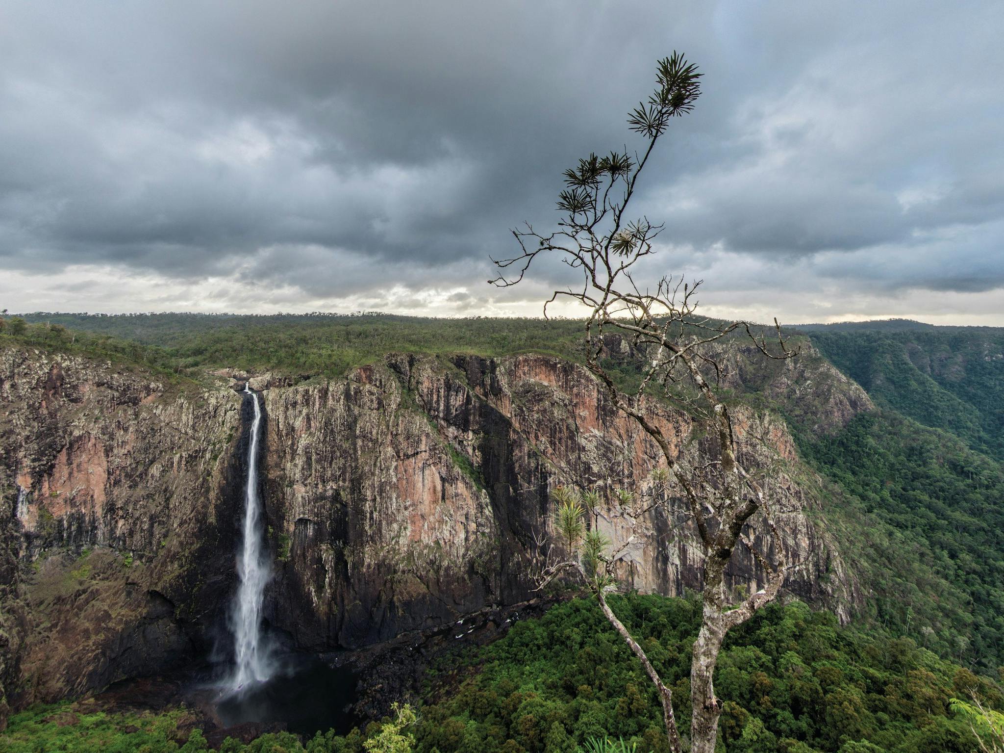 Waterfall plunging over rock wall into gorge.