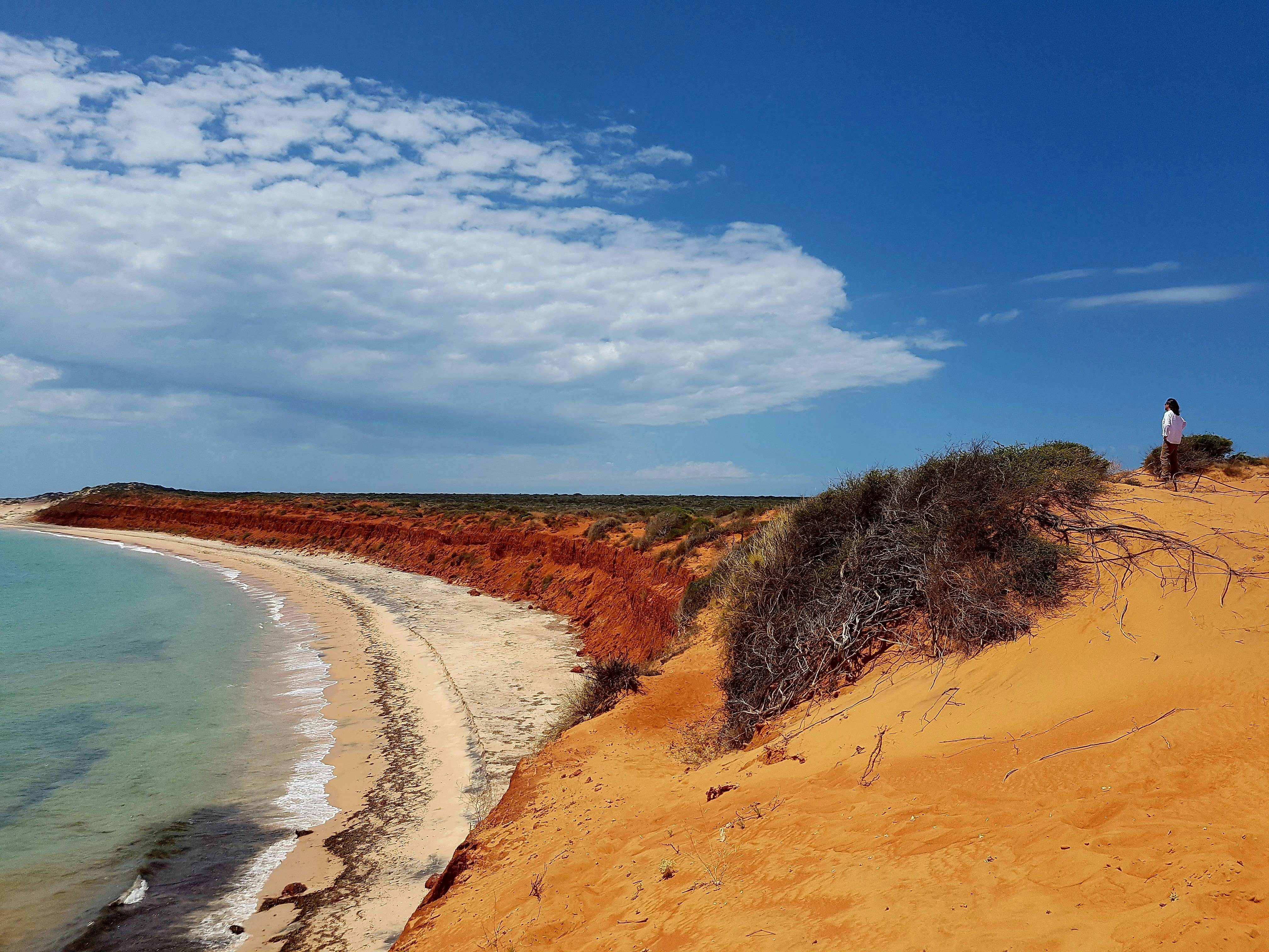 Shark Bay 4WD, Shark Bay, Western Australia