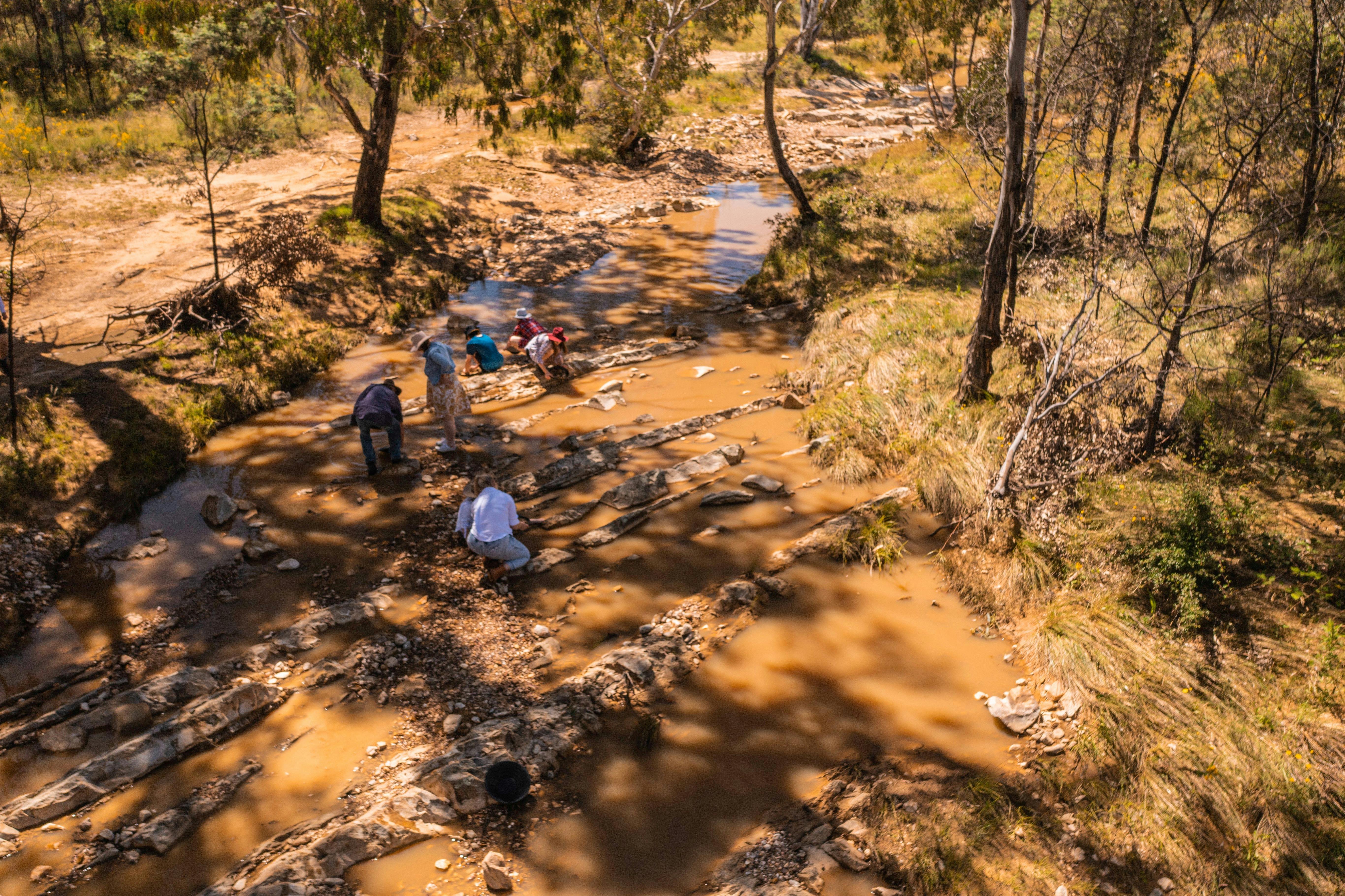Several people Fossicking on the Commons for gold.