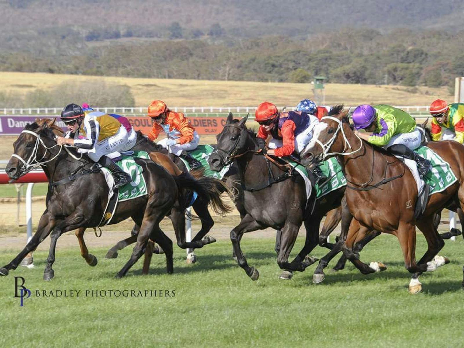 Image for Goulburn Thoroughbred Racing - Goulburn Cup