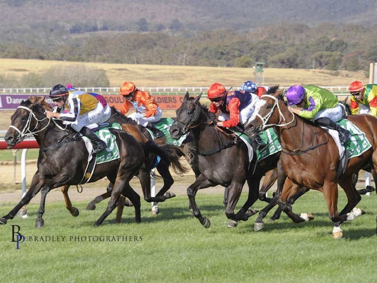 Goulburn Cup Horse Racing