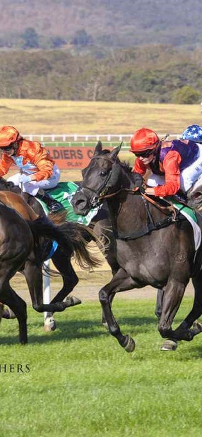 Goulburn Cup Horse Racing