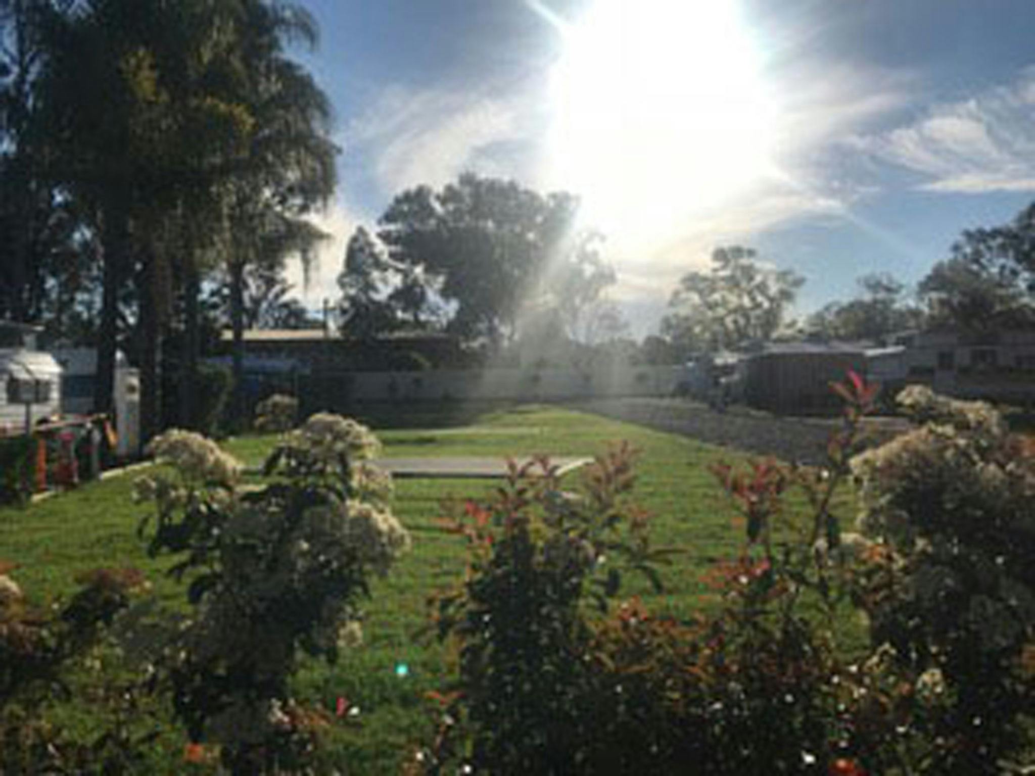 Hunter Valley Caravan Park Powered site